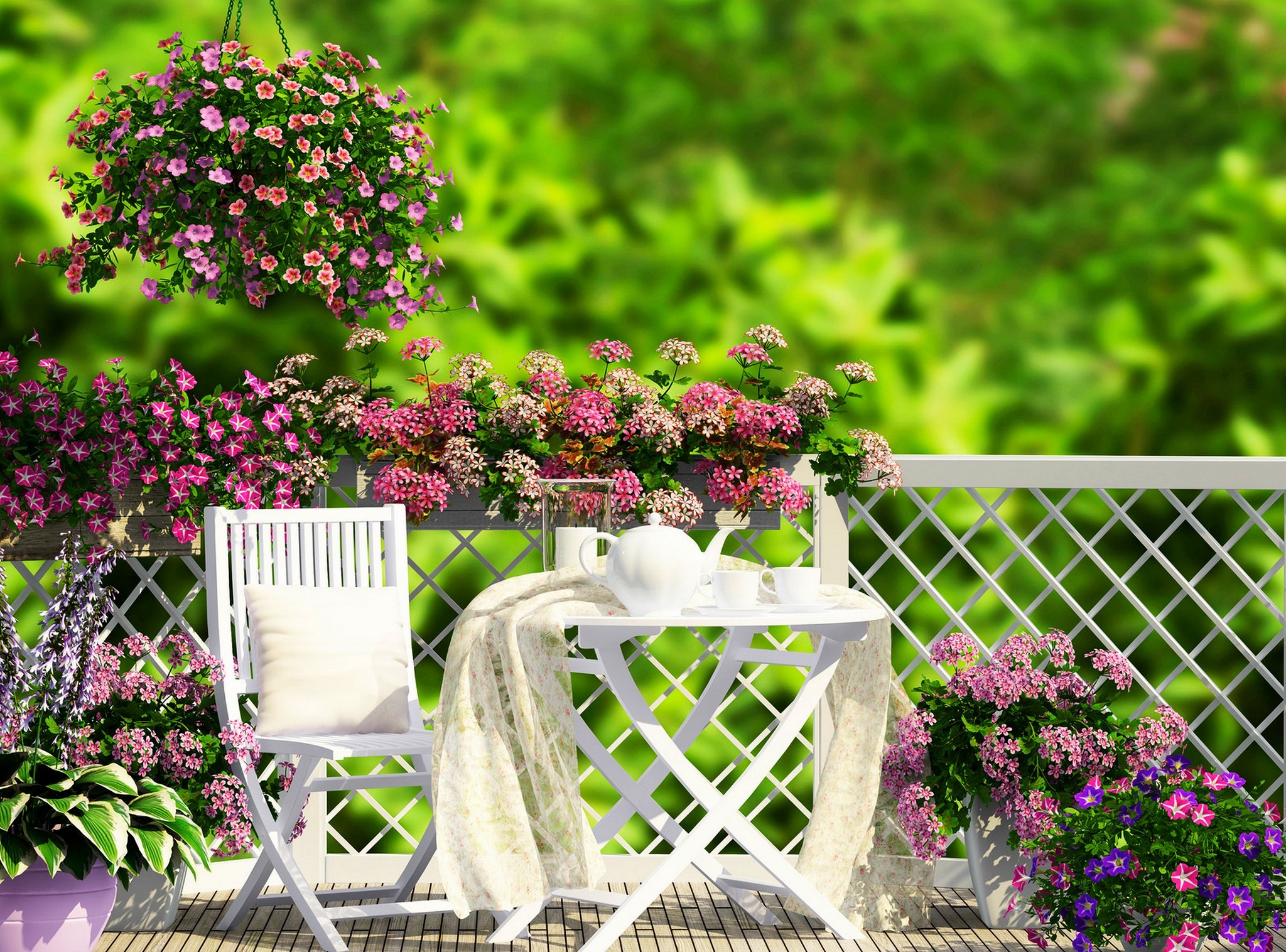 829313 descargar fondo de pantalla fotografía, bodegón, florecer, silla, flor, flor rosa, planta, porche, primavera: protectores de pantalla e imágenes gratis