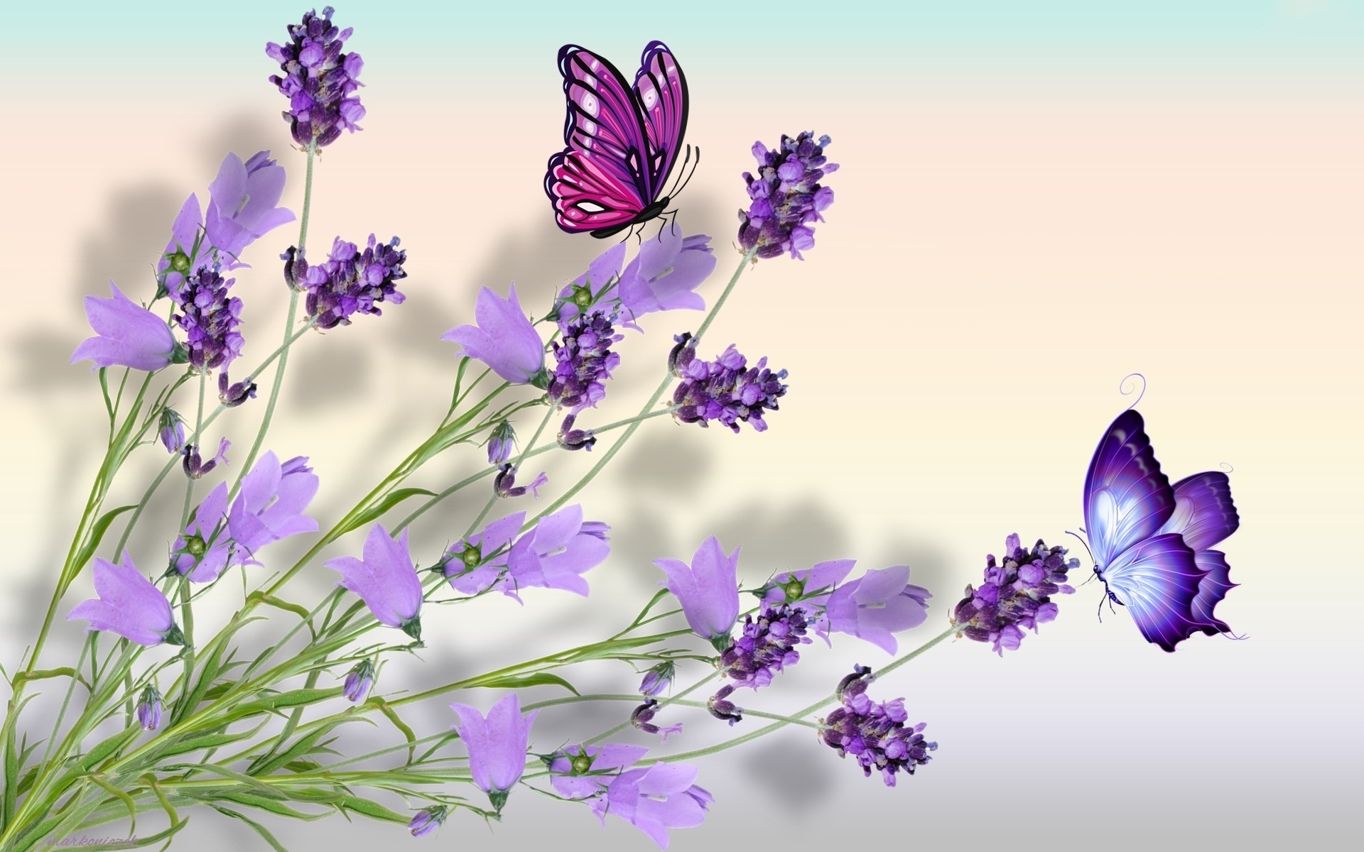 418553 Bildschirmschoner und Hintergrundbilder Schmetterlinge auf Ihrem Telefon. Laden Sie  Bilder kostenlos herunter