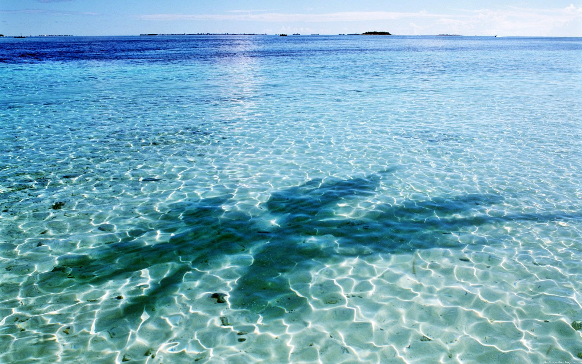 Baixar papel de parede para celular de Oceano, Terra/natureza gratuito.