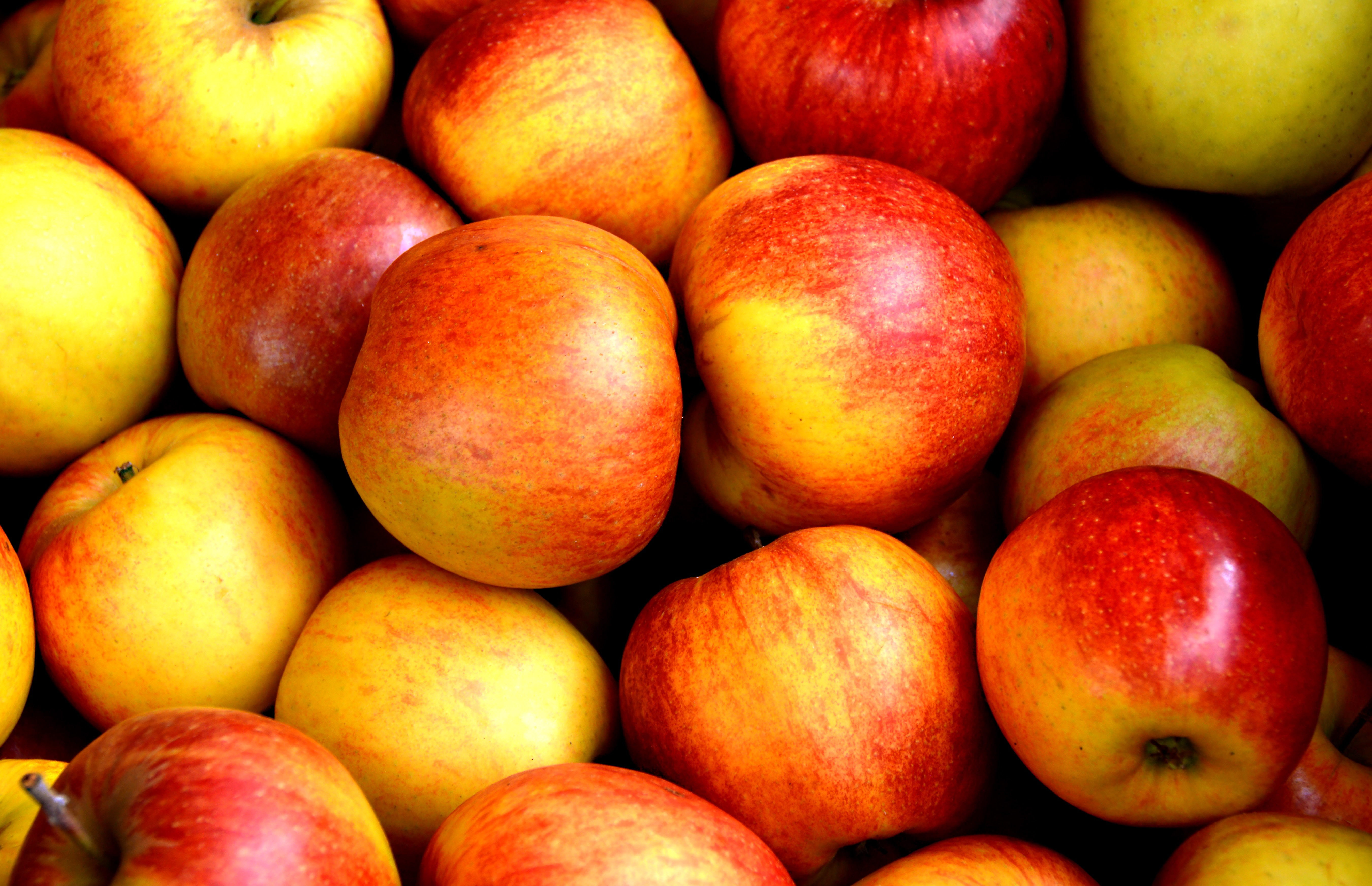 Descarga gratuita de fondo de pantalla para móvil de Frutas, Manzana, De Cerca, Fruta, Alimento.