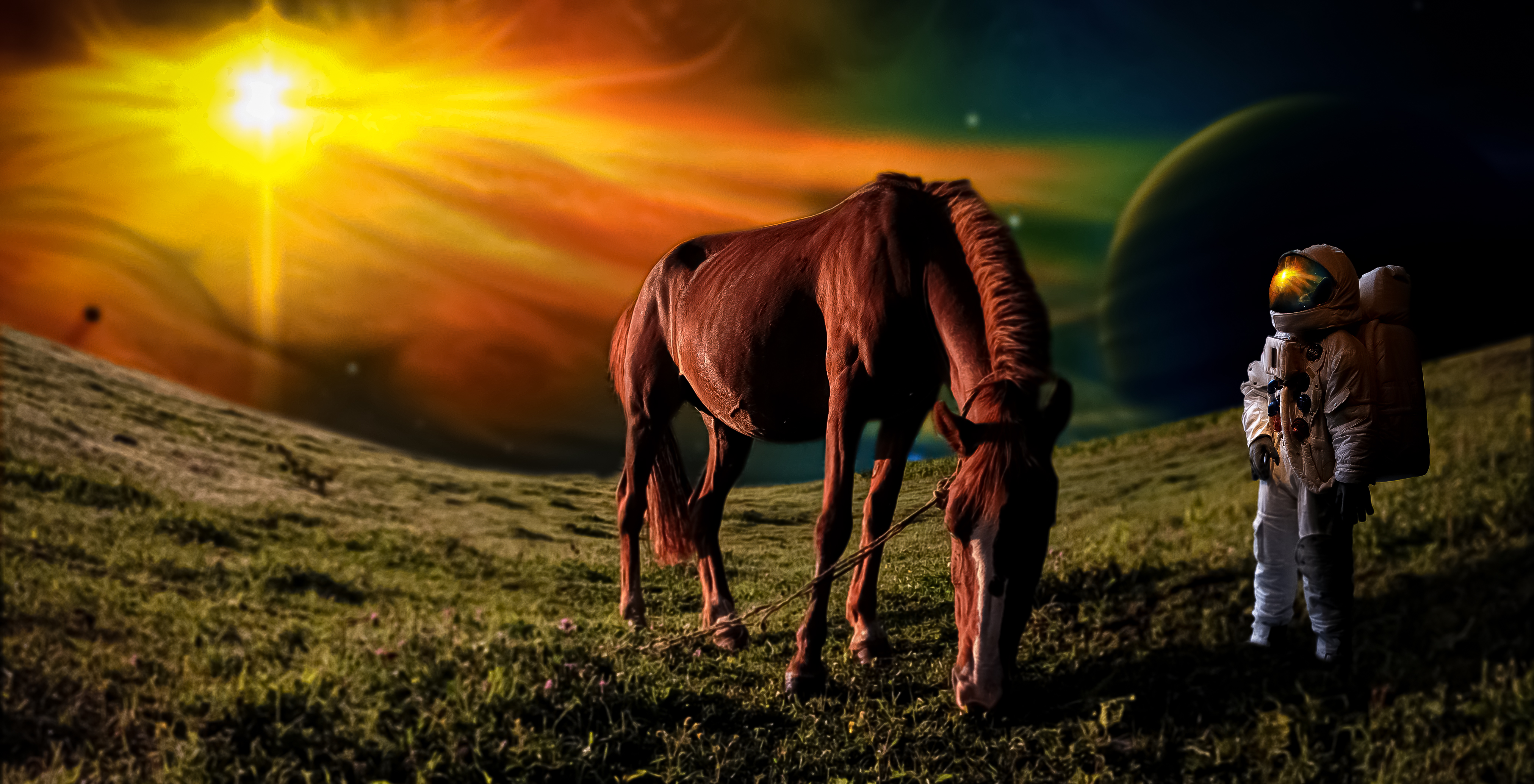 Download mobile wallpaper Sci Fi, Horse, Astronaut for free.
