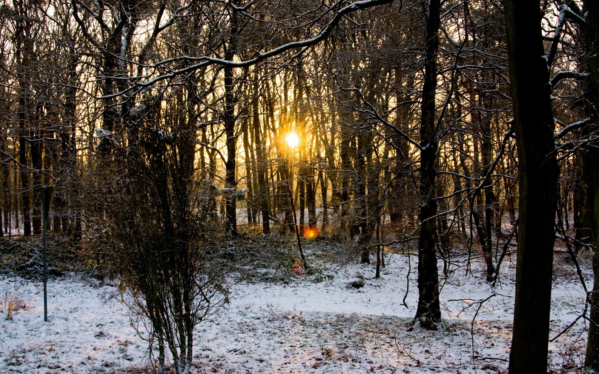 Free download wallpaper Landscape, Winter, Trees, Snow on your PC desktop