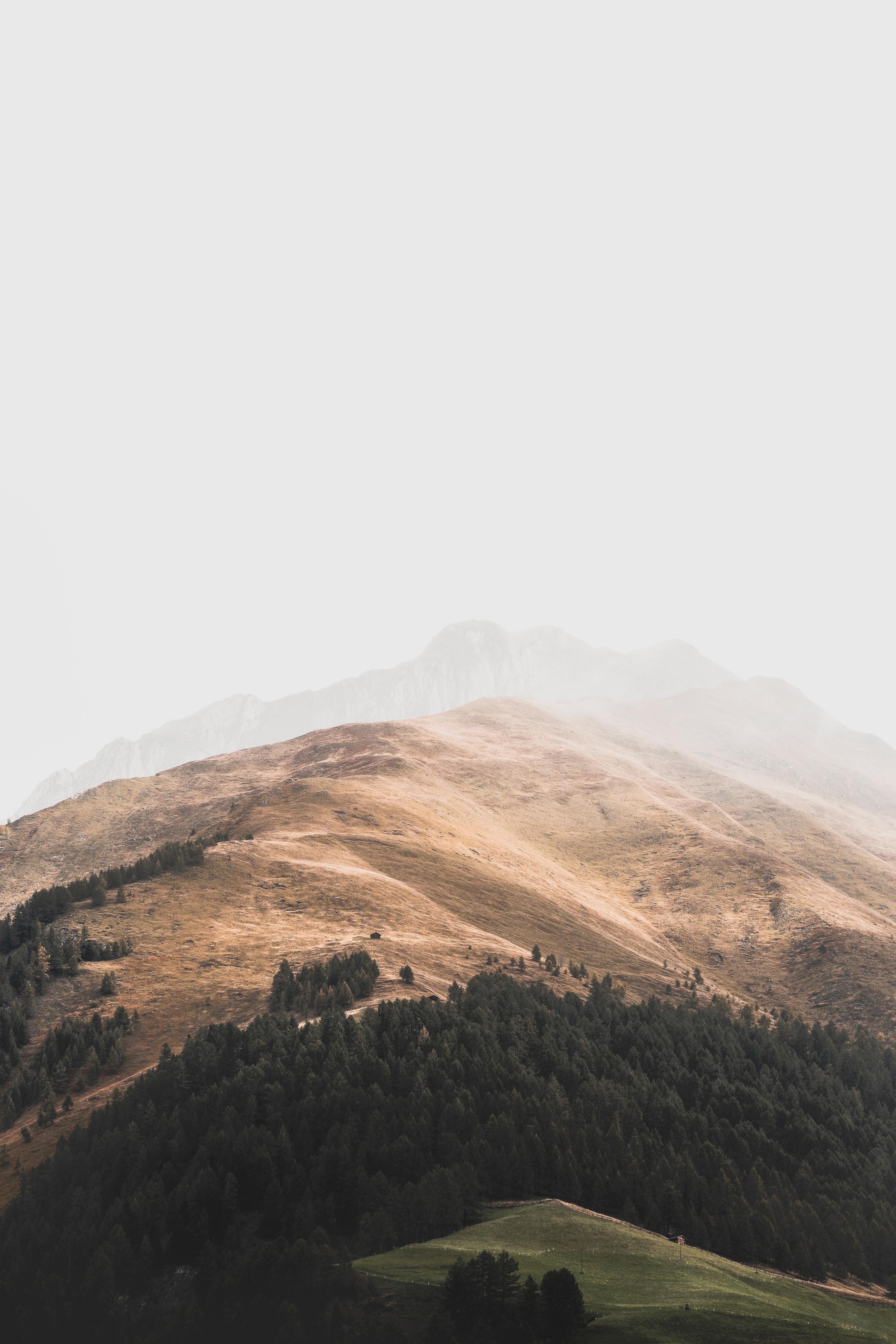 無料モバイル壁紙自然, 山脈, 上から見る, 霧, 風景をダウンロードします。