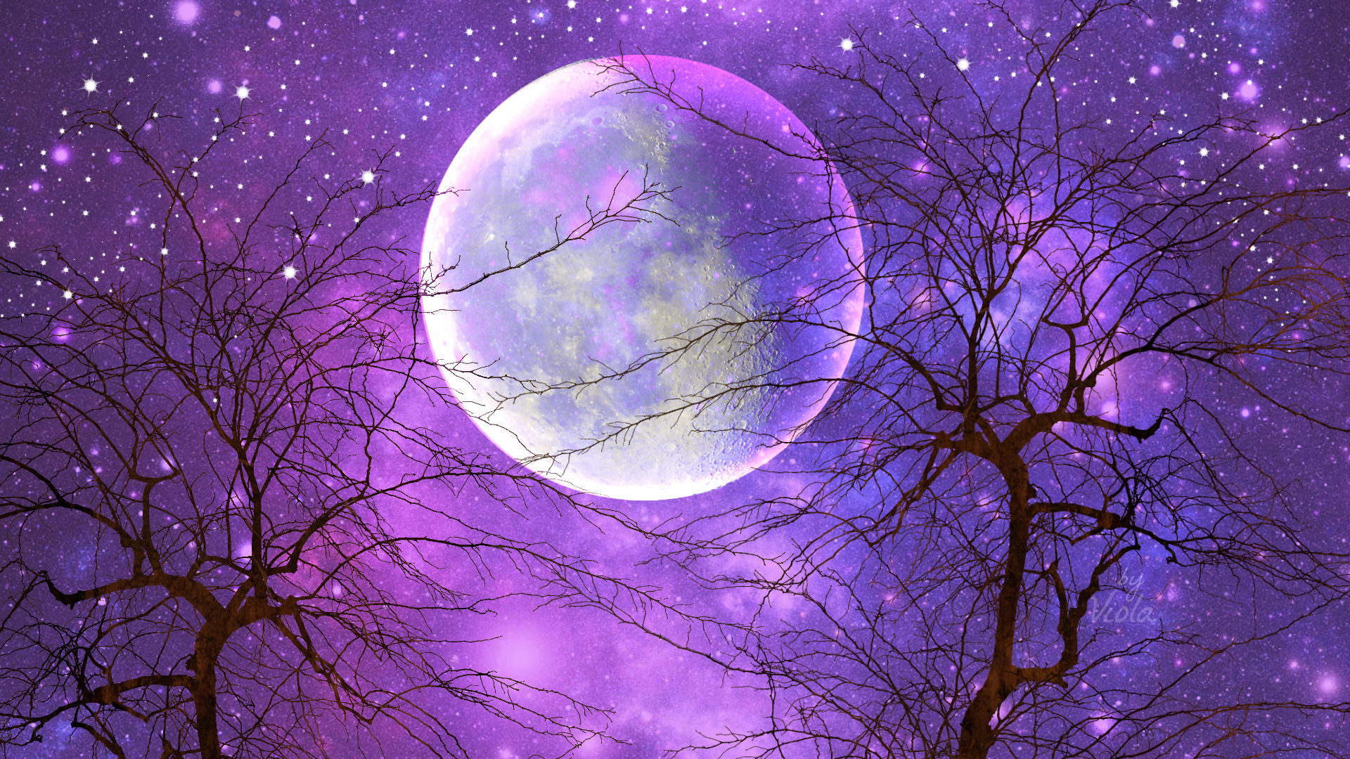 Скачать обои бесплатно Небо, Луна, Дерево, Звездное Небо, Пурпурный, Художественные картинка на рабочий стол ПК