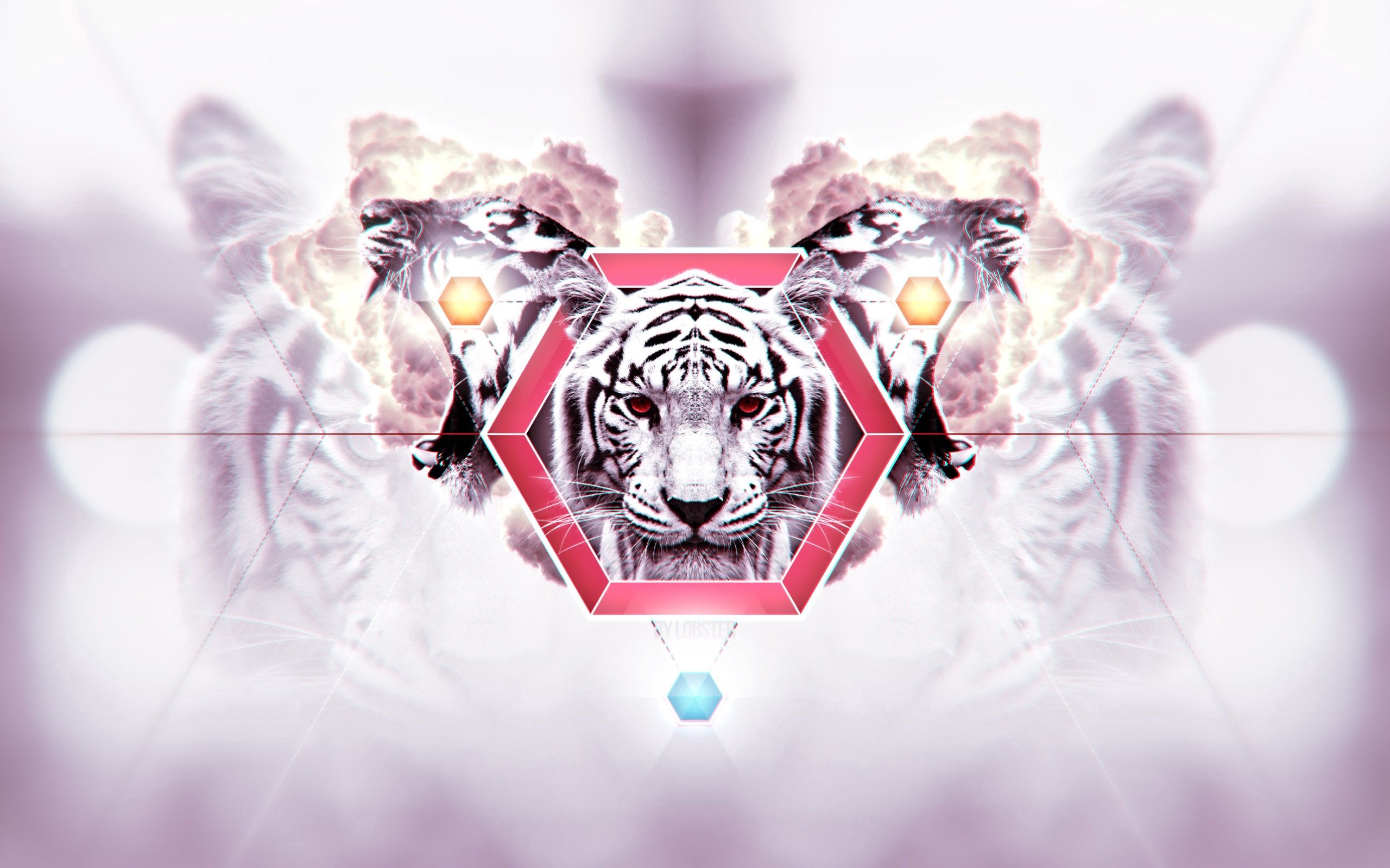 abstract, background, muzzle, striped, tiger