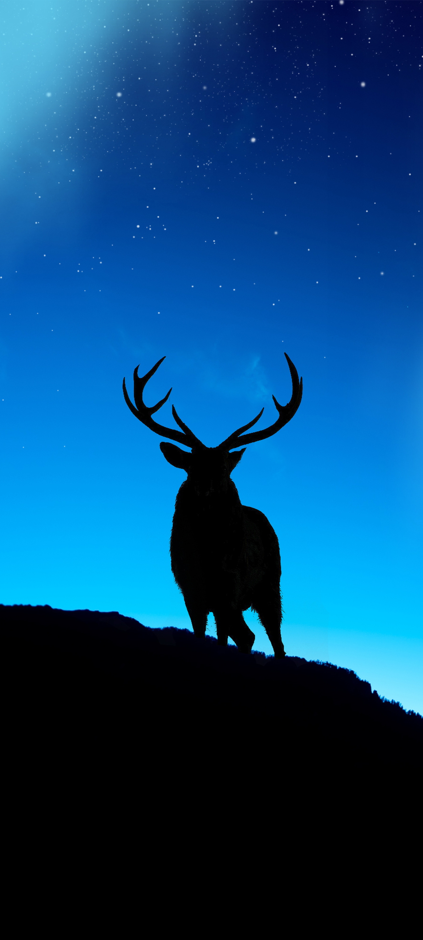 Download mobile wallpaper Animal, Deer for free.