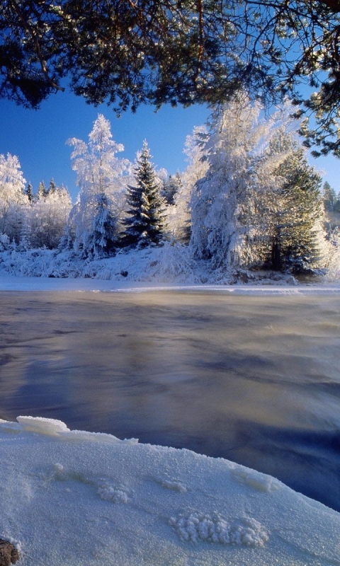 Descarga gratuita de fondo de pantalla para móvil de Invierno, Tierra/naturaleza.