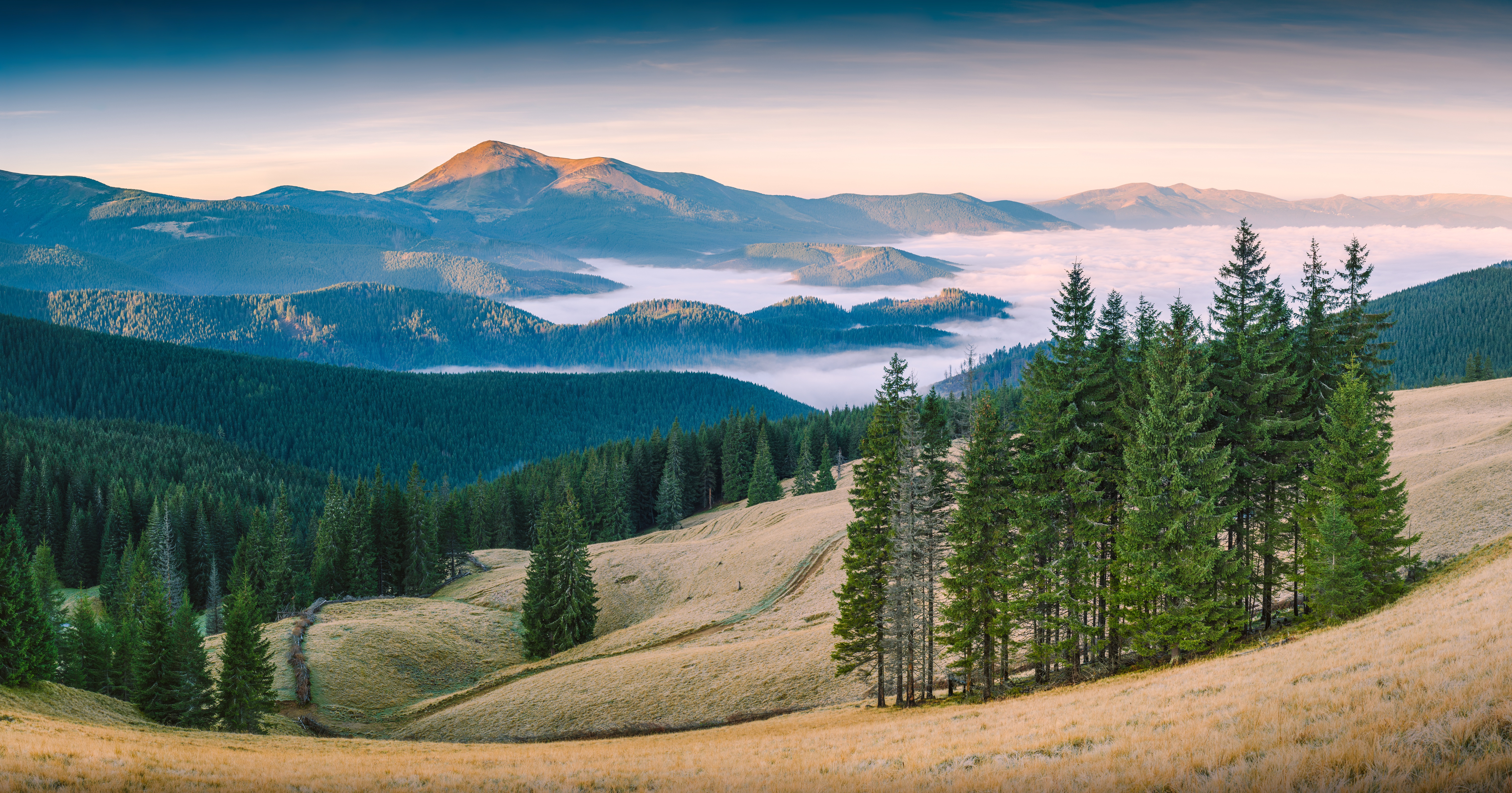 Descarga gratuita de fondo de pantalla para móvil de Paisaje, Naturaleza, Montaña, Bosque, Niebla, Tierra/naturaleza.