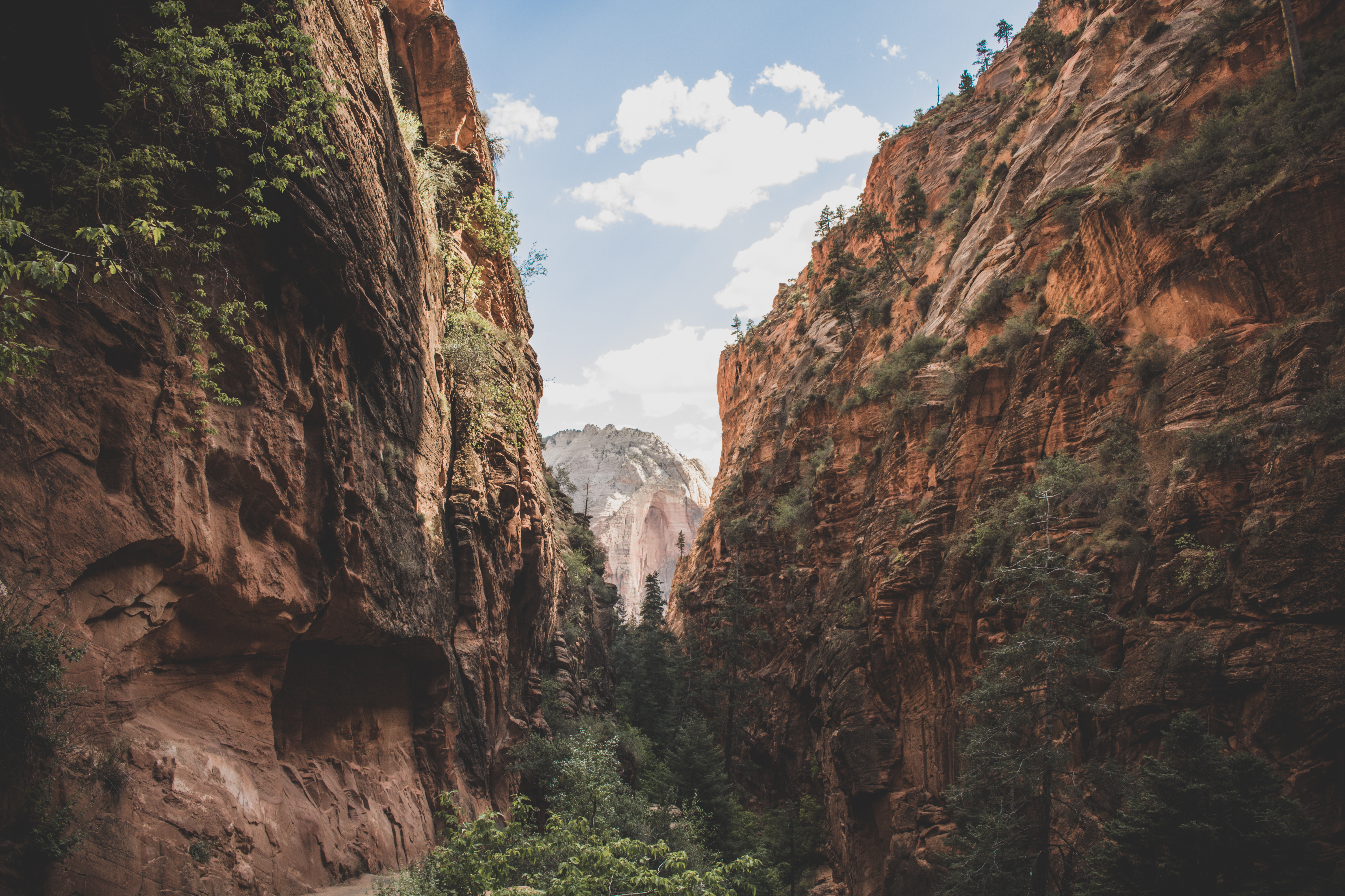 Download mobile wallpaper Nature, Canyon, Earth, Cliff, Canyons for free.