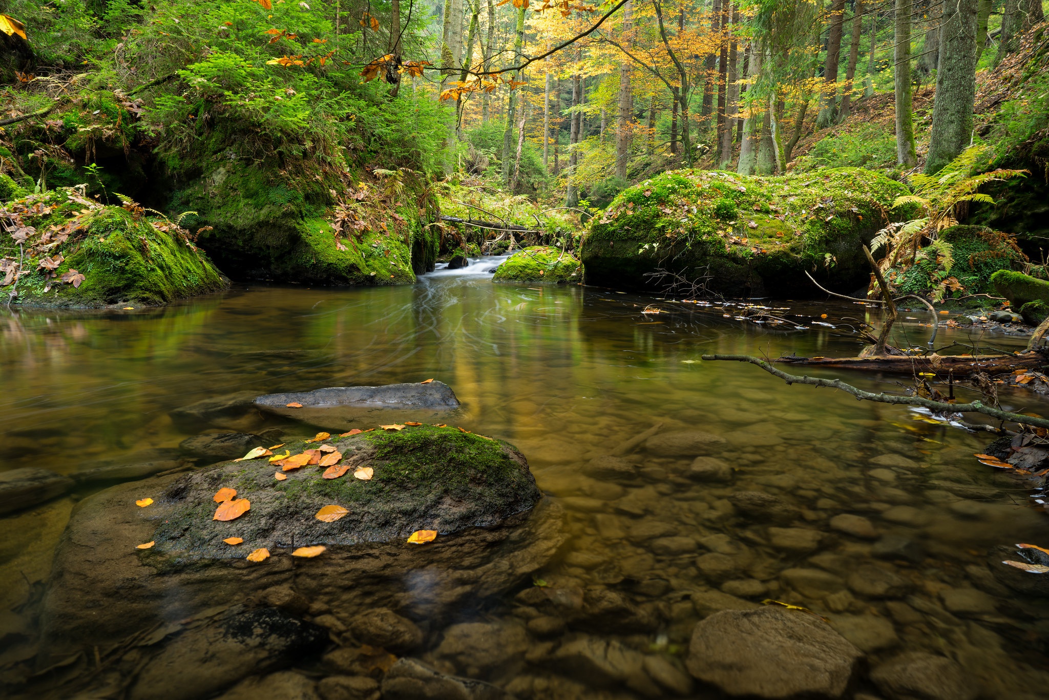 PCデスクトップに自然, 森, 地球, ストリーム, チェコ共和国画像を無料でダウンロード