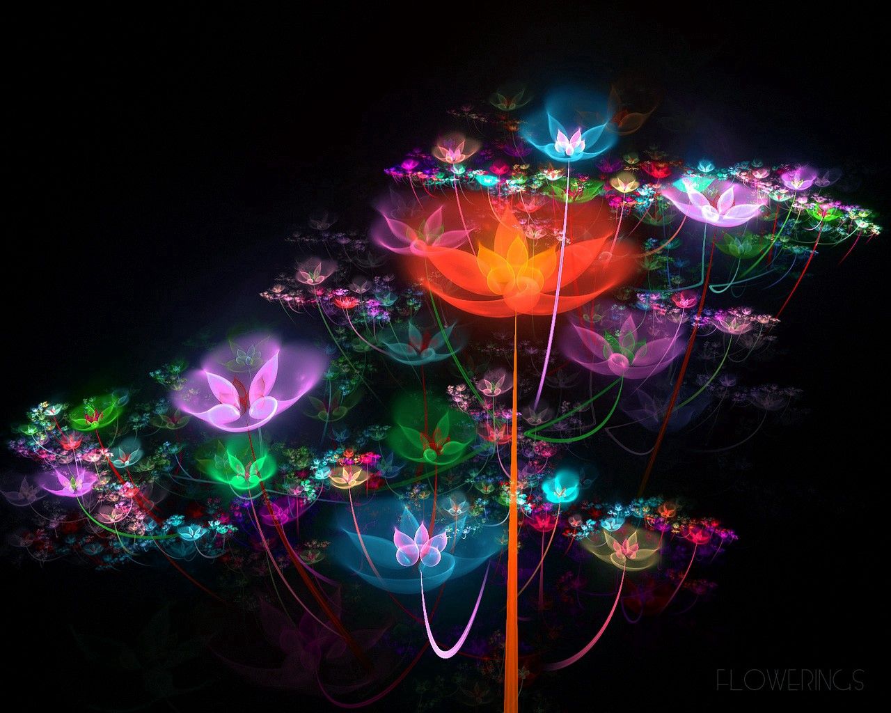 Download mobile wallpaper Fractal, Flowers, Buds, Motley, Multicolored, Abstract for free.