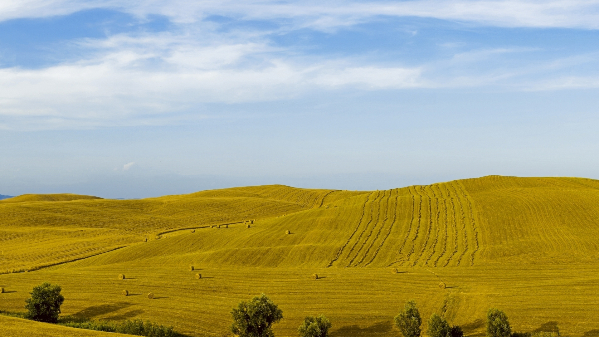 Laden Sie das Feld, Erde/natur-Bild kostenlos auf Ihren PC-Desktop herunter