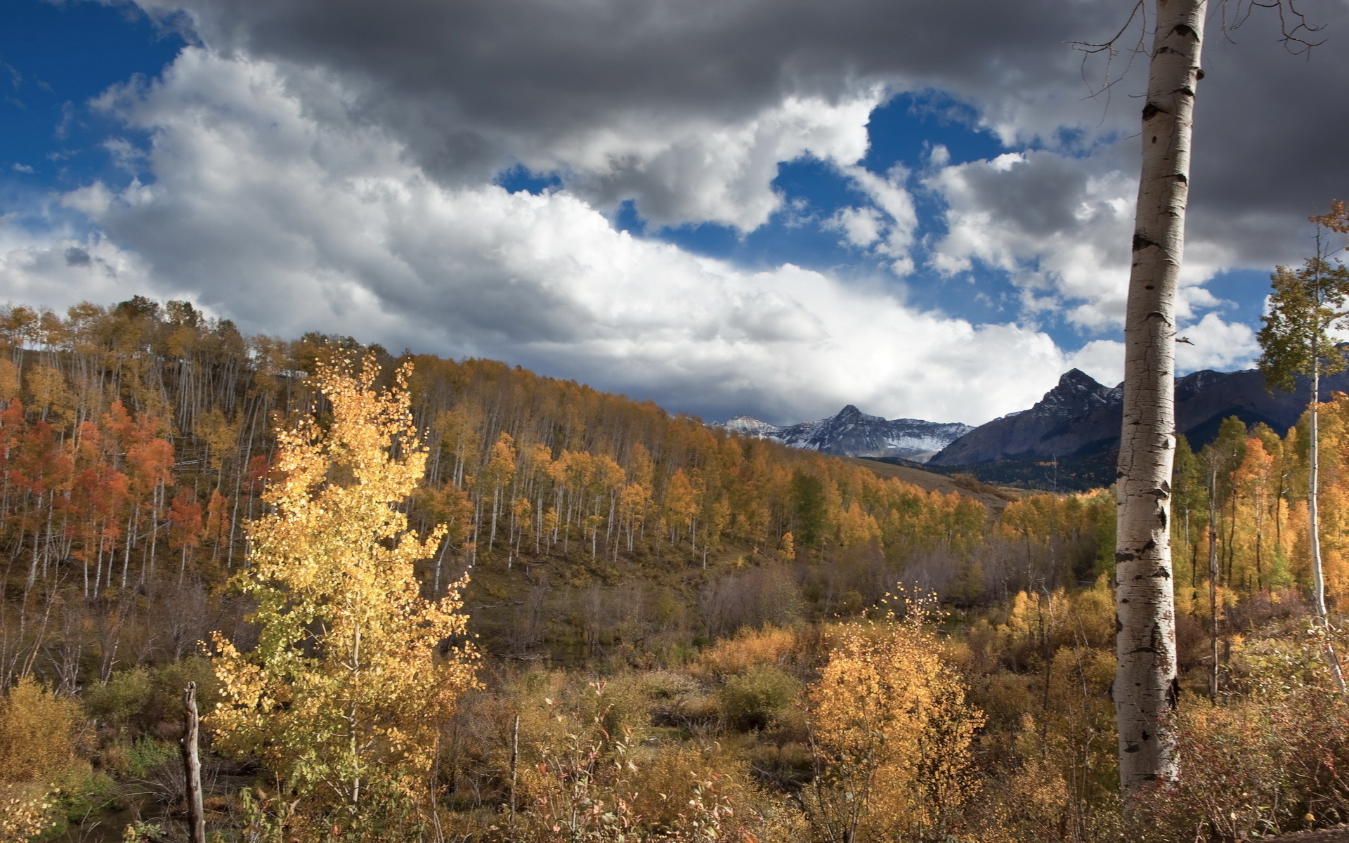 Téléchargez gratuitement l'image Automne, Terre/nature sur le bureau de votre PC