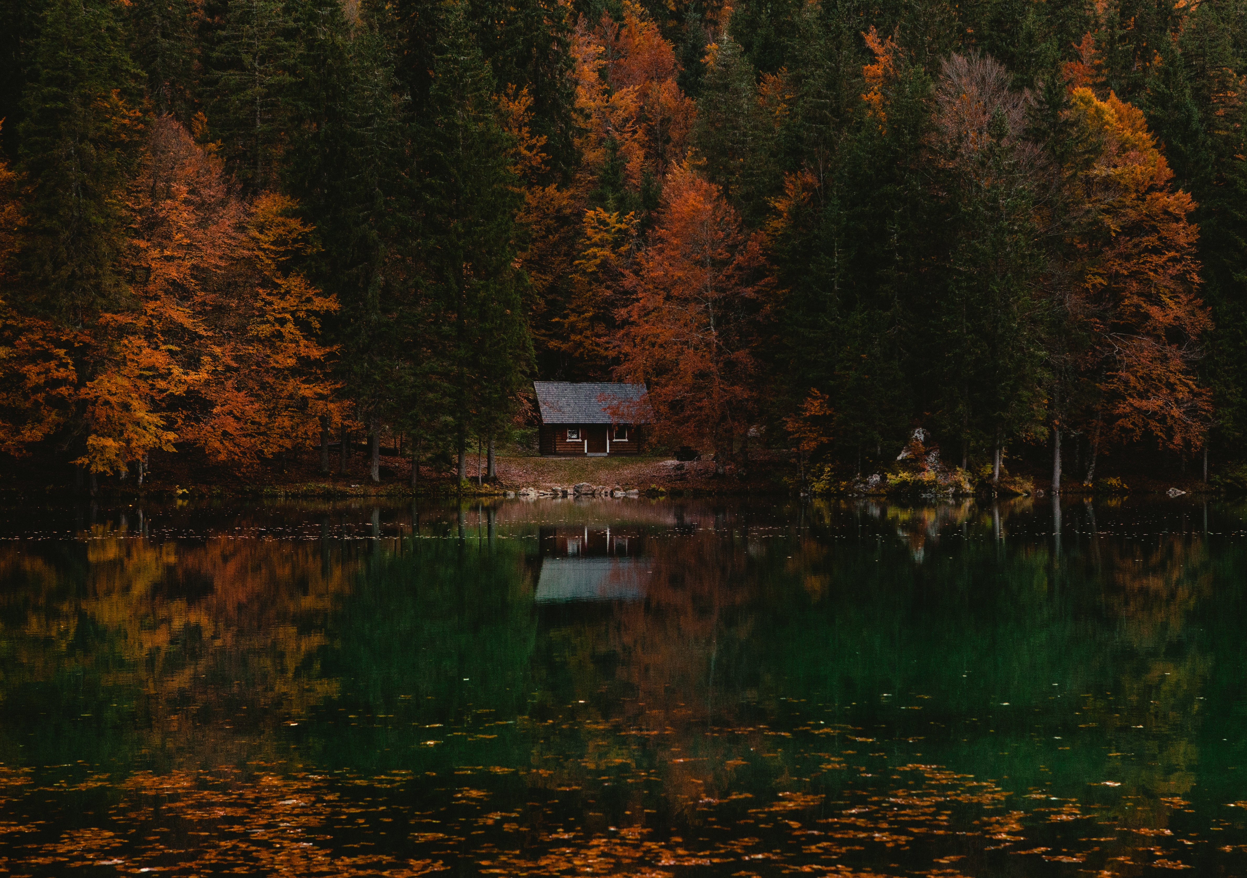 Скачать обои бесплатно Домик, Лес, Озеро, Осень, Природа, Италия картинка на рабочий стол ПК