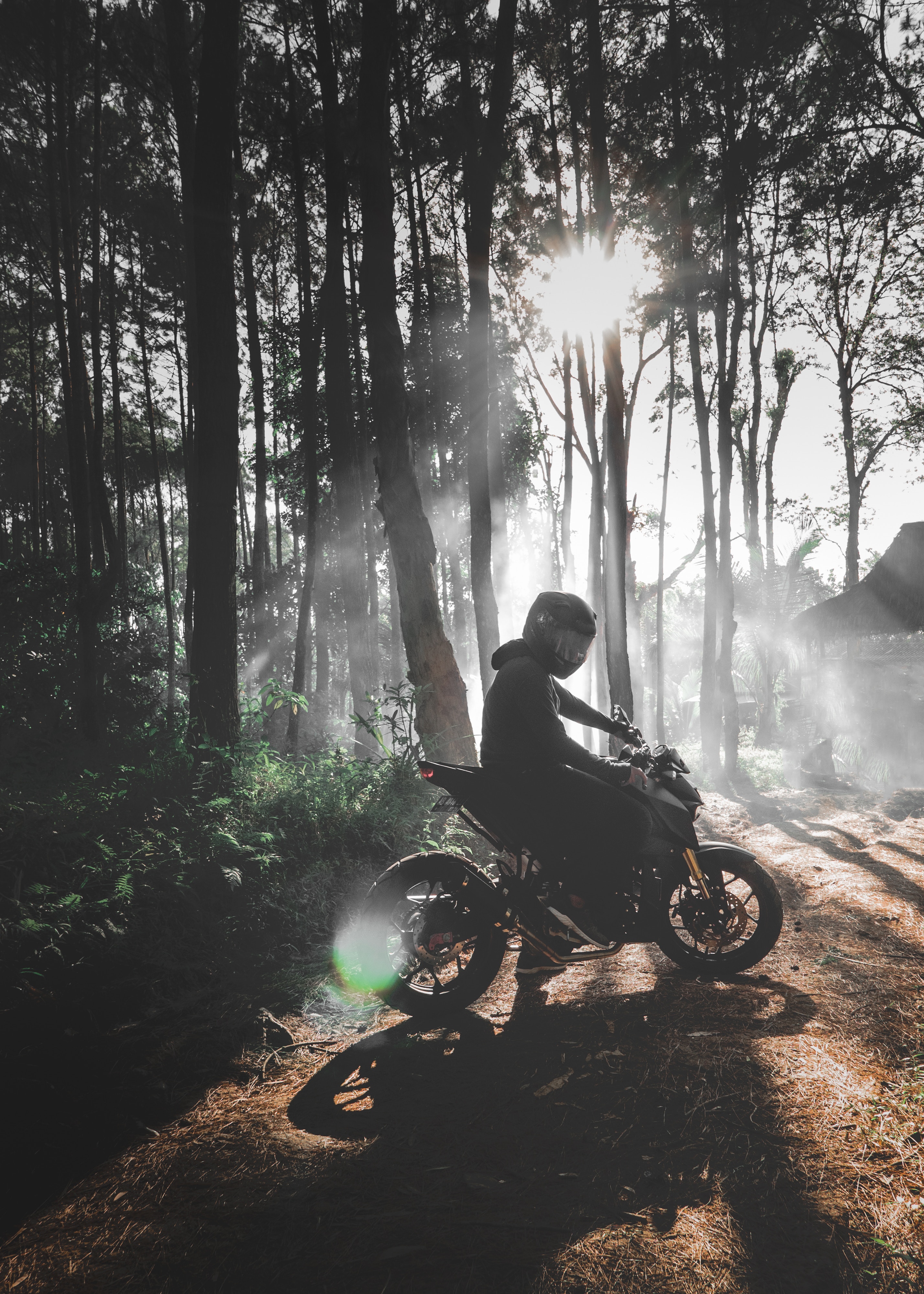 107447 descargar fondo de pantalla motocicletas, bosque, niebla, motociclista, motocicleta, bicicleta: protectores de pantalla e imágenes gratis
