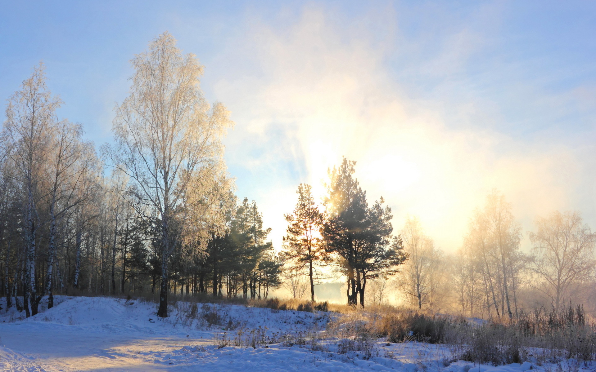 Laden Sie das Landschaft, Winter, Natur, Schnee, Wald, Nebel, Sonnenaufgang, Wolke, Szene, Sonnenuntergang, Erde/natur-Bild kostenlos auf Ihren PC-Desktop herunter