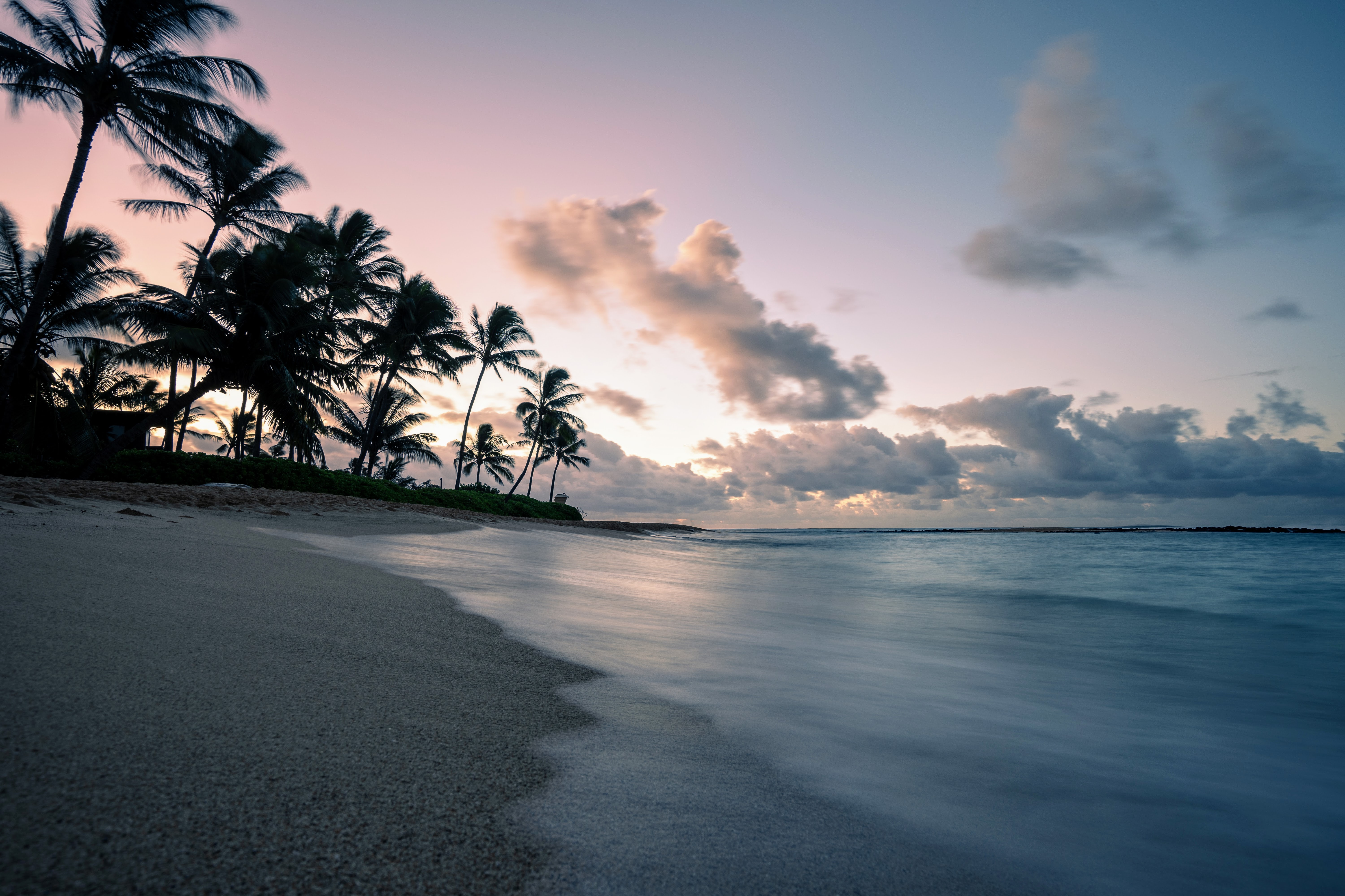 Download mobile wallpaper Dusk, Beach, Nature, Twilight, Coast, Palms for free.