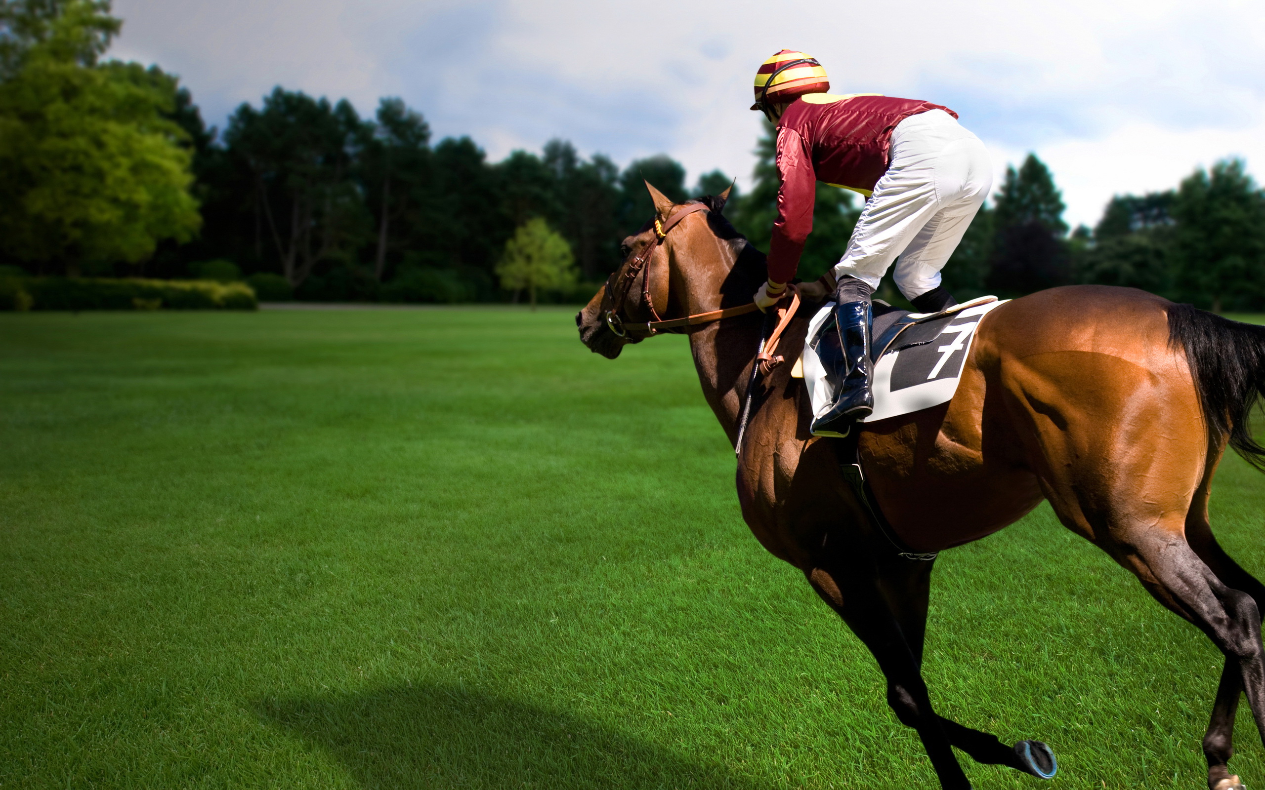 283416 Bild herunterladen sport, pferderennen, rennen - Hintergrundbilder und Bildschirmschoner kostenlos
