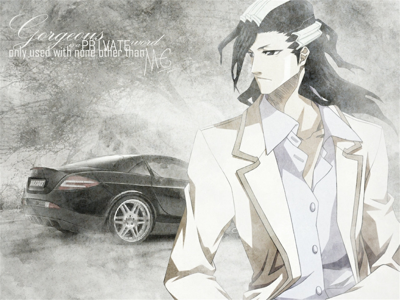 Handy-Wallpaper Bleach, Animes, Byakuya Kuchiki kostenlos herunterladen.