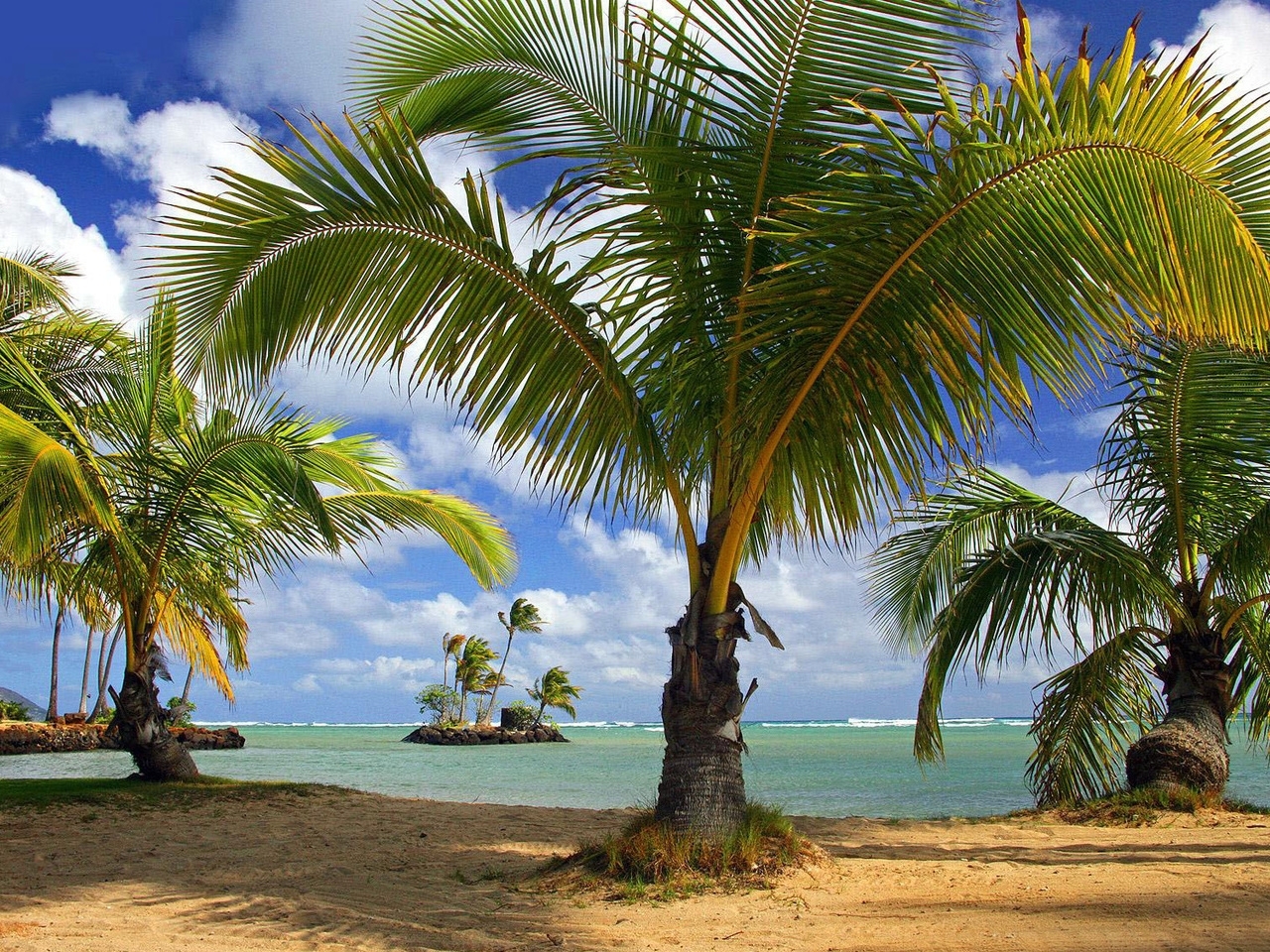 Скачати мобільні шпалери Пальми, Природа, Море, Пейзаж, Пляж безкоштовно.