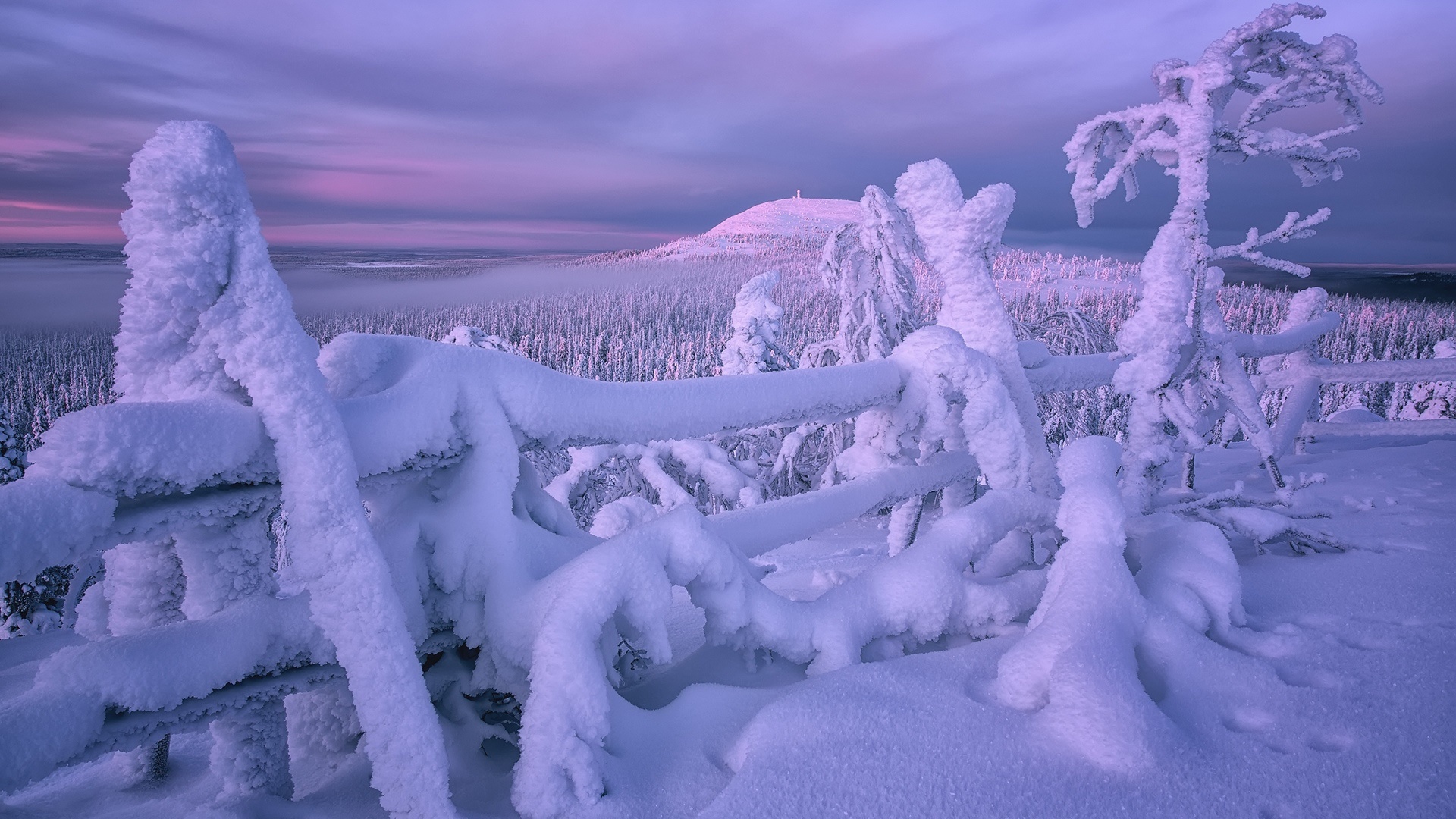 942460 Bild herunterladen erde/natur, winter, zaun, finnland, schnee - Hintergrundbilder und Bildschirmschoner kostenlos