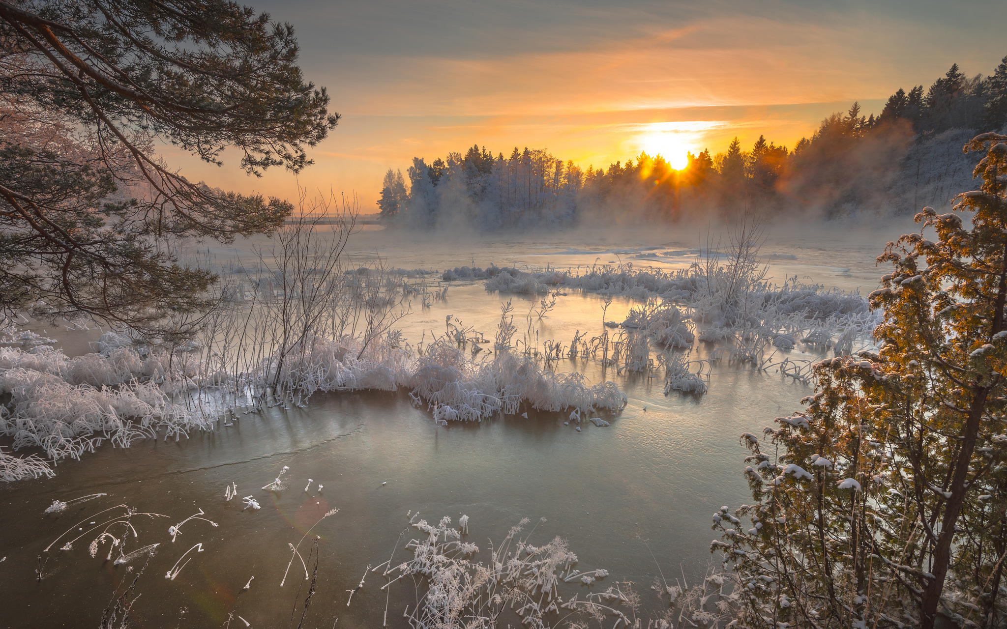 Download mobile wallpaper Winter, Nature, Fog, Sunrise, Earth, Frozen for free.