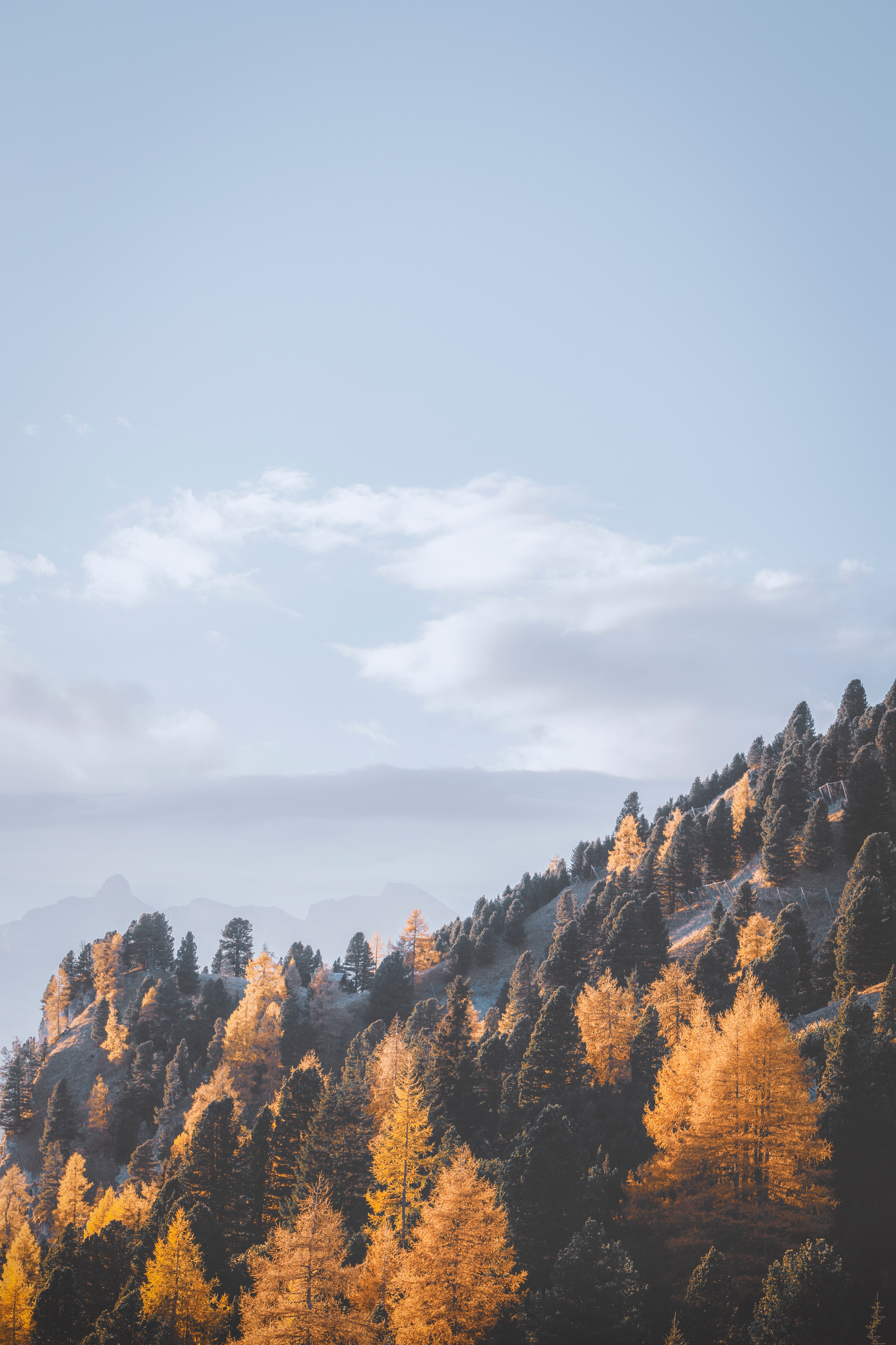 Free download wallpaper Landscape, Slope, Nature, Trees, Mountains, Fog on your PC desktop
