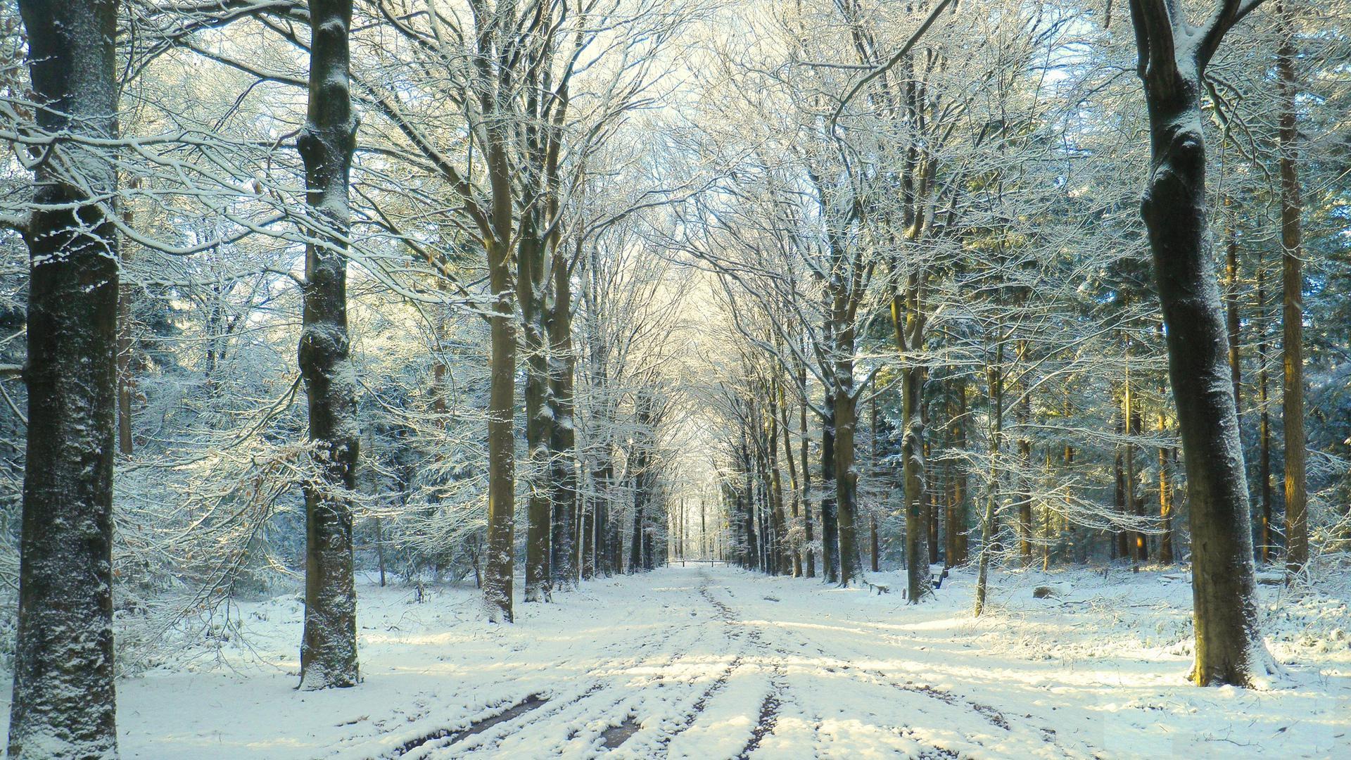 Free download wallpaper Winter, Snow, Road, Tree, Photography on your PC desktop