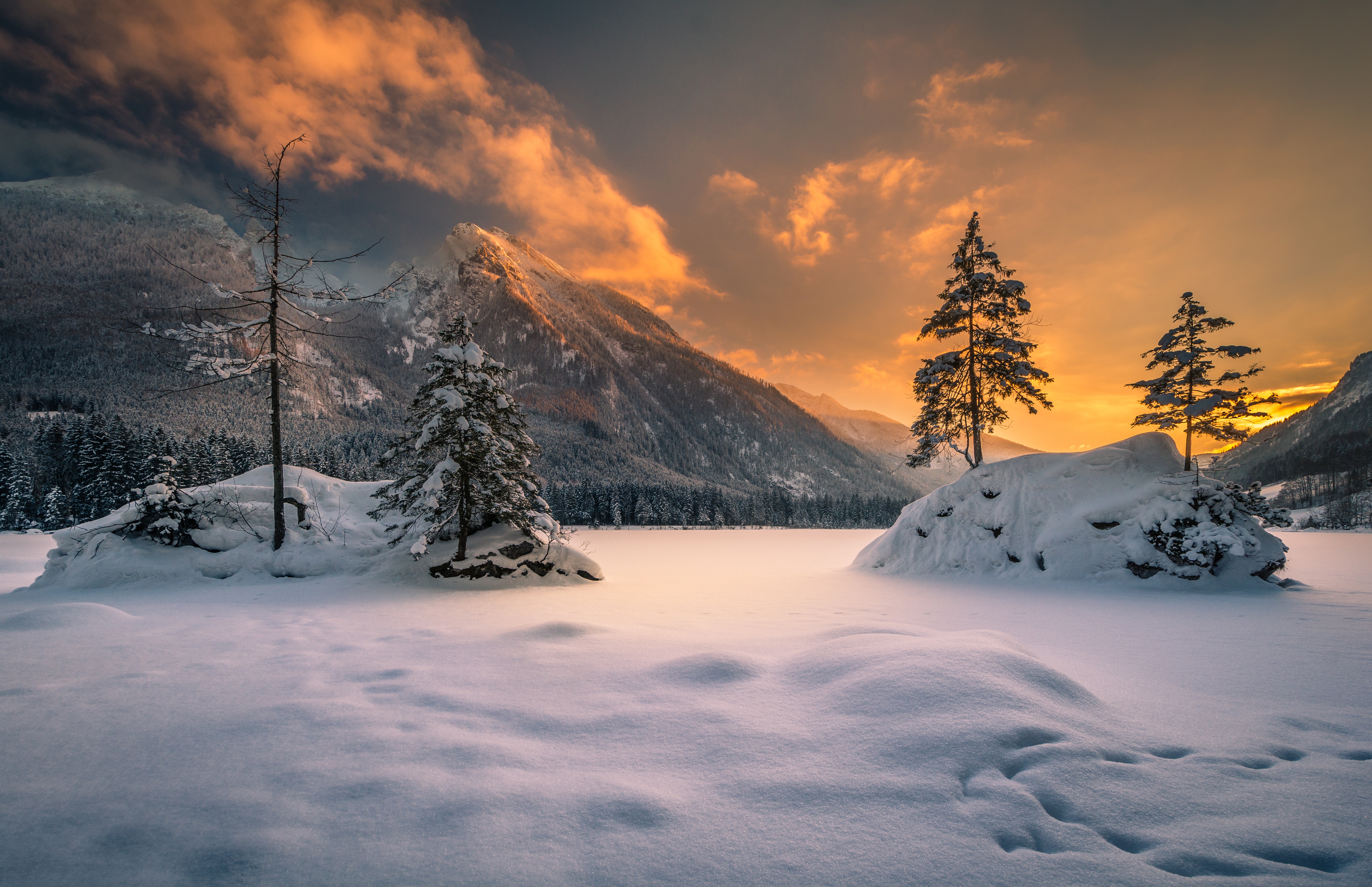 Скачать обои бесплатно Зима, Закат, Снег, Гора, Дерево, Германия, Земля/природа картинка на рабочий стол ПК