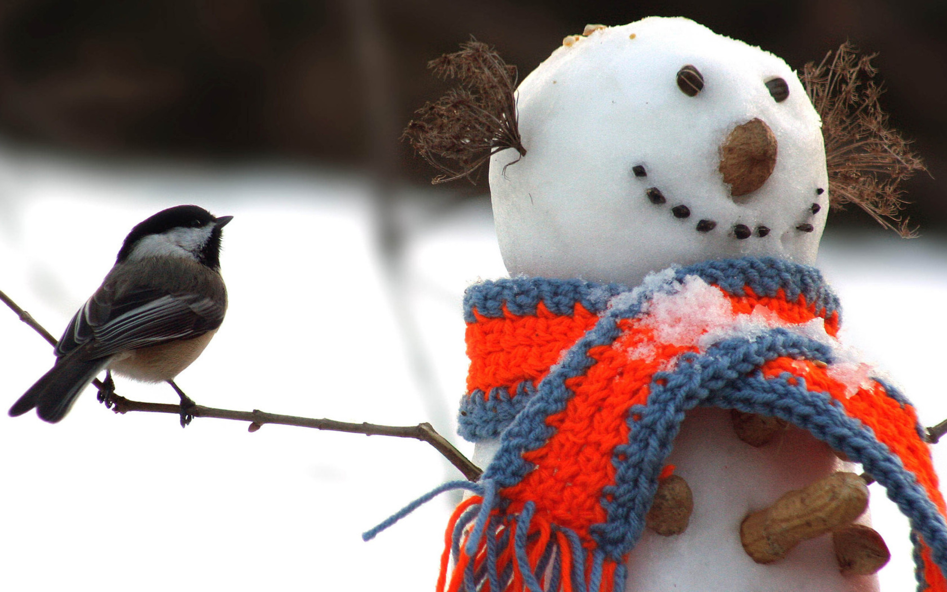 Скачать обои бесплатно Зима, Птицы, Снег, Снеговик, Фотографии картинка на рабочий стол ПК