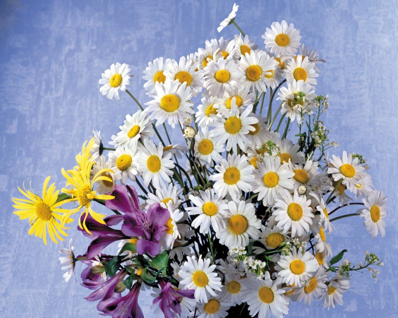 Download mobile wallpaper Lilies, Bouquet, Camomile, Flowers, Background for free.