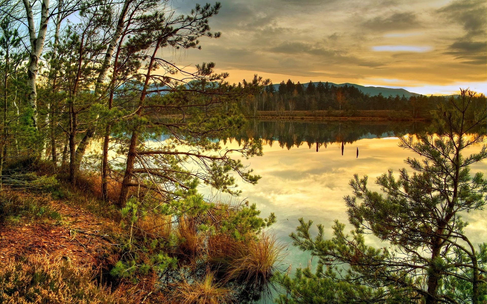 Laden Sie das Flüsse, Landschaft, Bäume, Sunset-Bild kostenlos auf Ihren PC-Desktop herunter