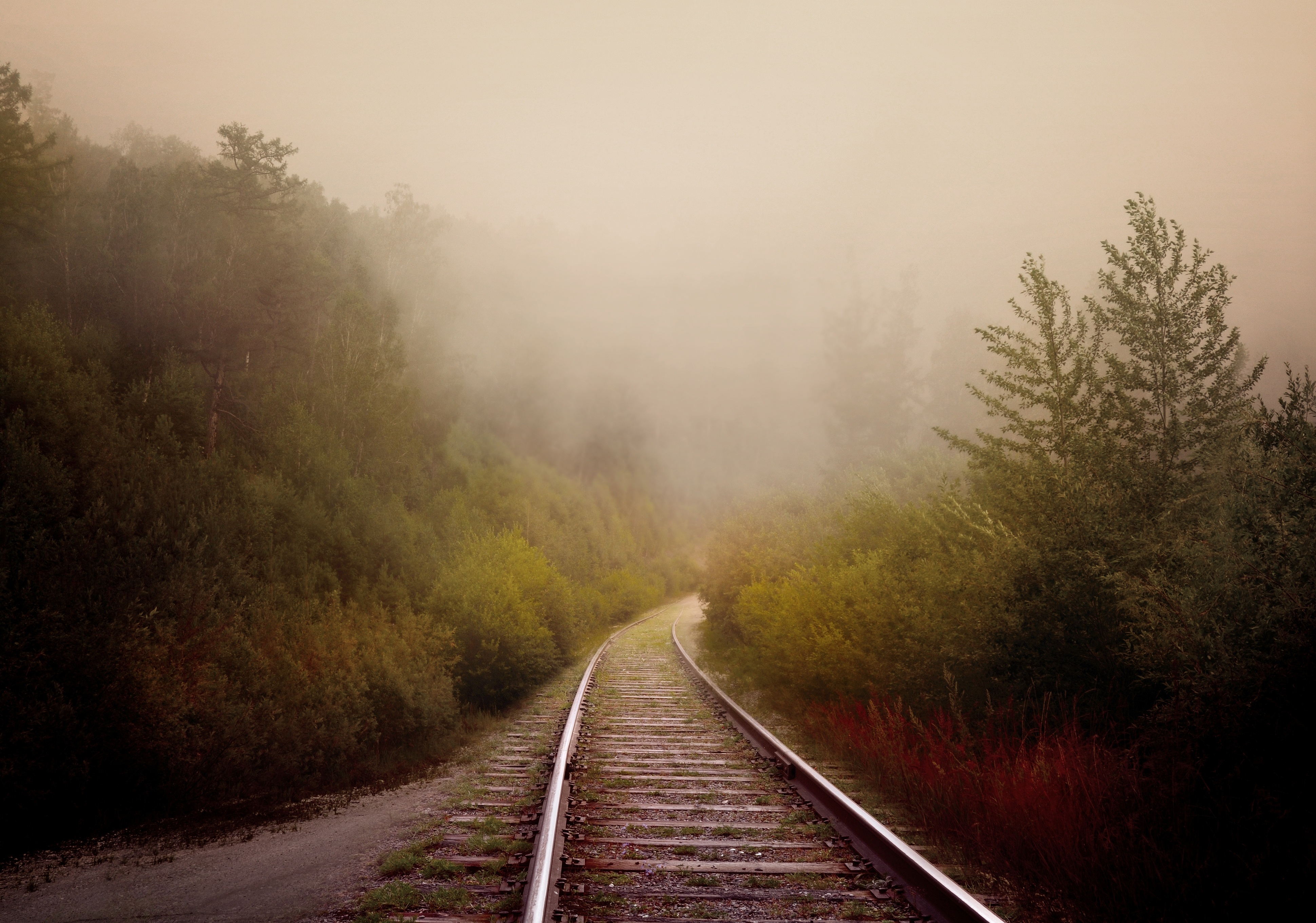 Download mobile wallpaper Forest, Fog, Railroad, Man Made for free.
