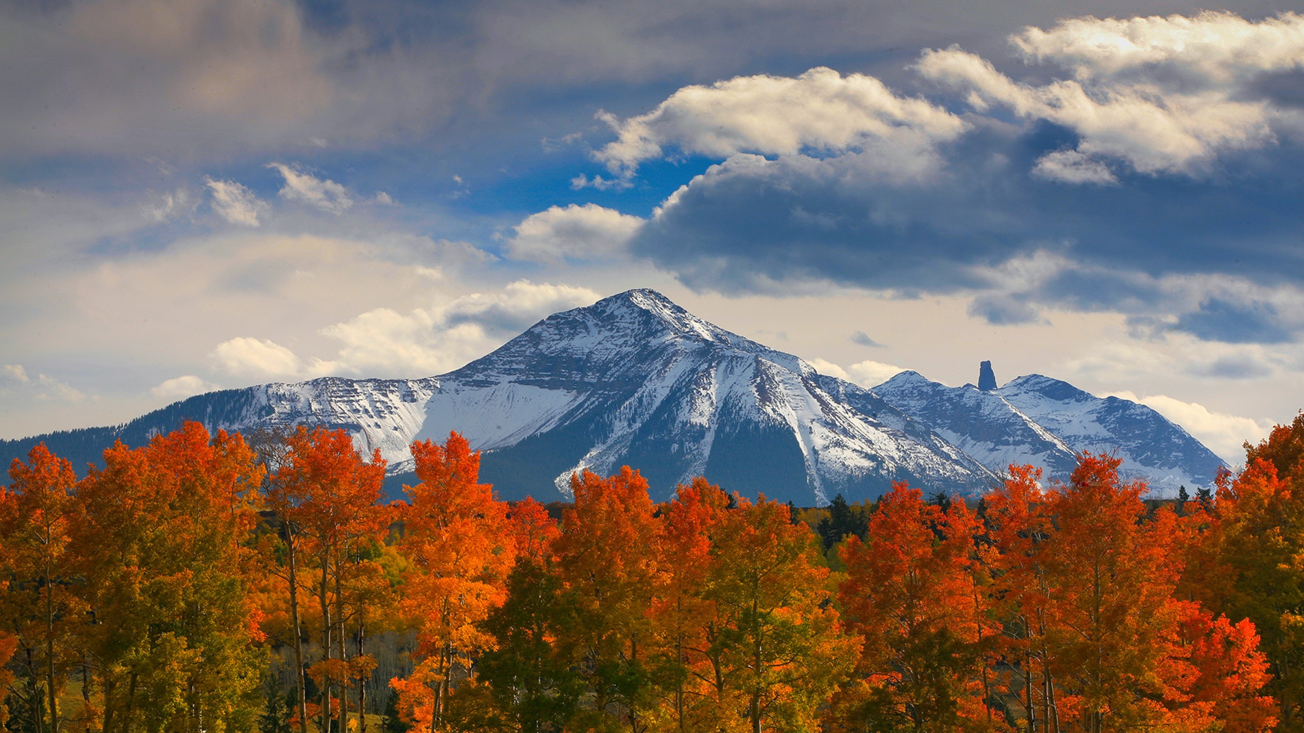 Скачать картинку Пейзаж, Осень, Снег, Гора, Дерево, Земля/природа в телефон бесплатно.