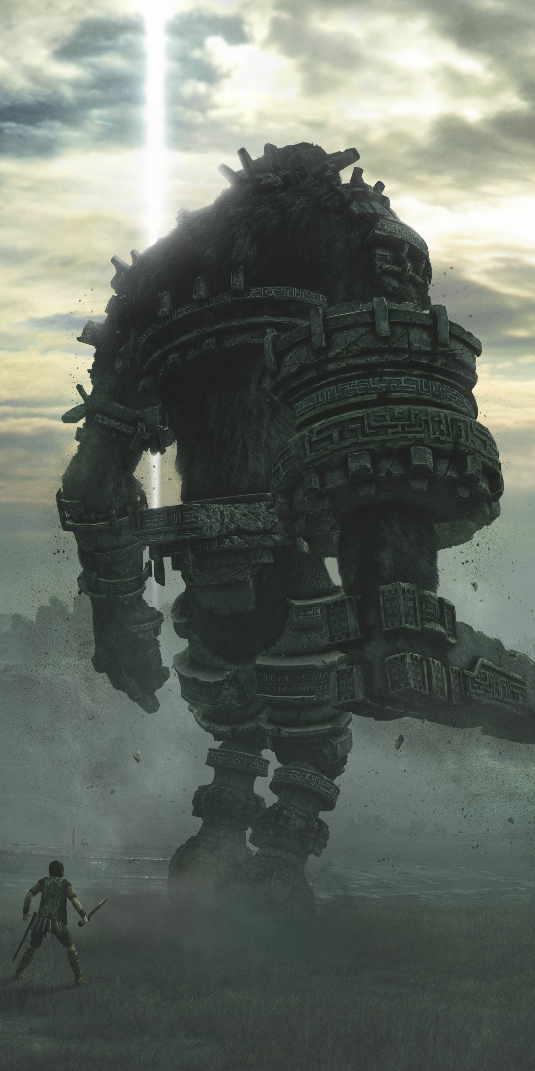 Download mobile wallpaper Video Game, Shadow Of The Colossus (2018) for free.