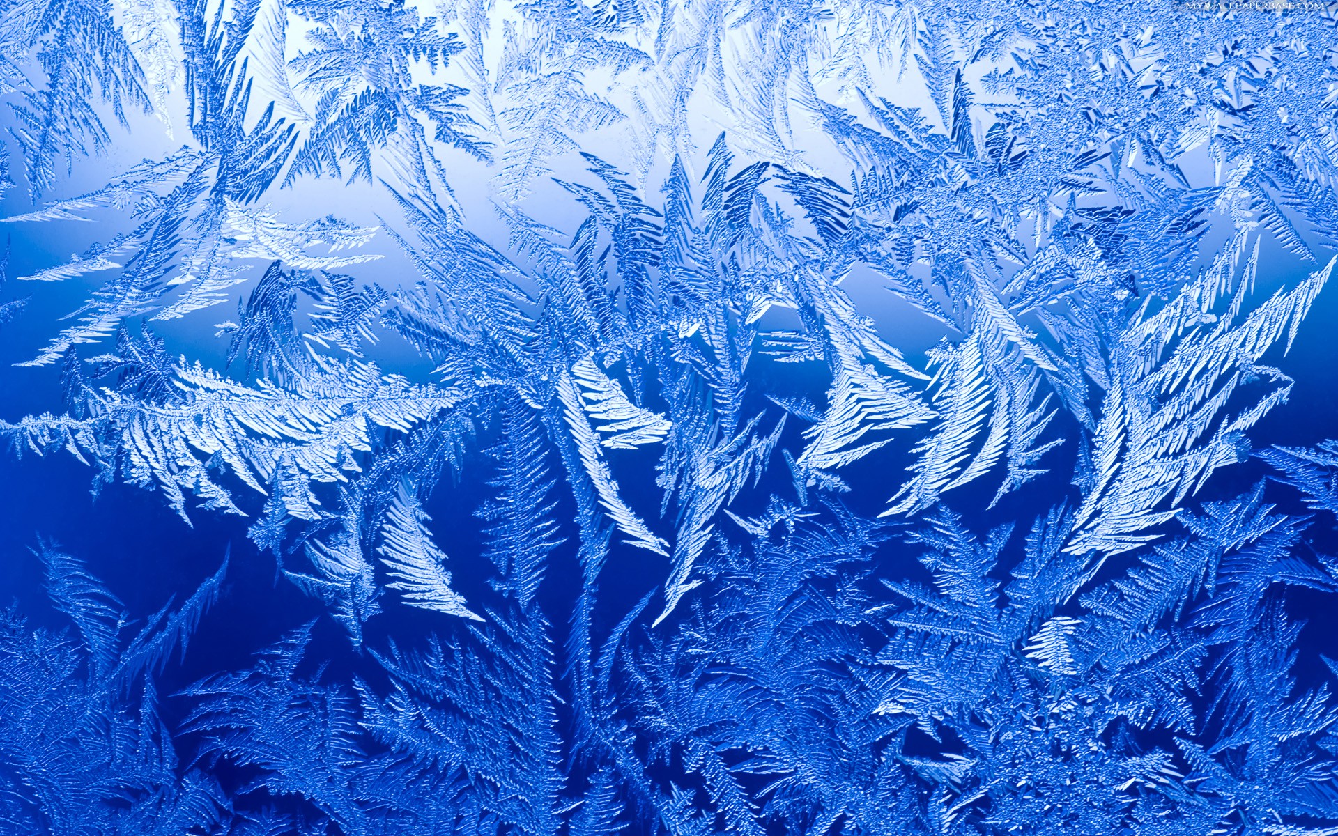Download mobile wallpaper Ice, Abstract for free.