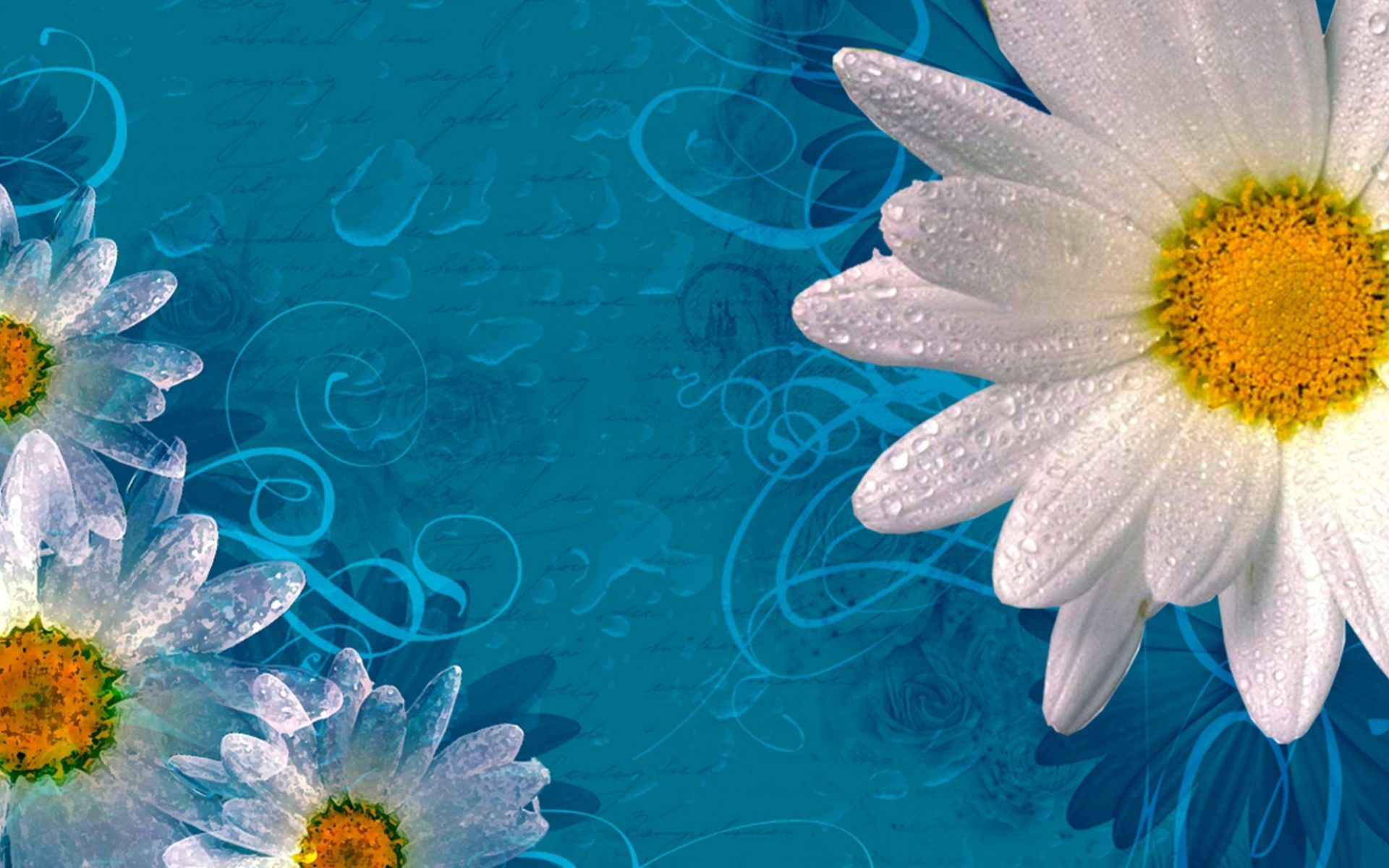 無料モバイル壁紙フラワーズ, 花, 青い, 芸術的, デイジー, 白い花をダウンロードします。