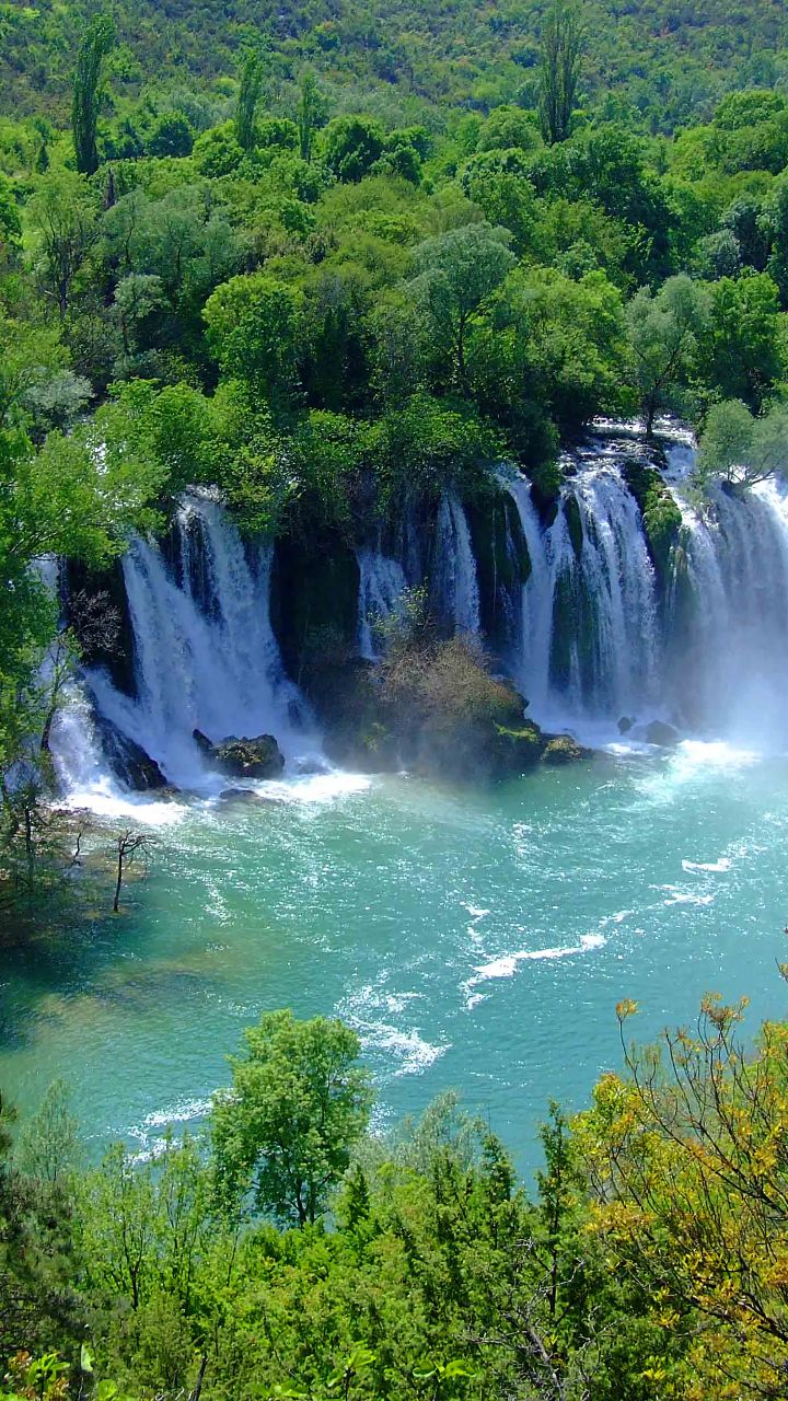 Handy-Wallpaper Wasserfälle, Wasserfall, Wald, Baum, Erde, Erde/natur, Regenwald kostenlos herunterladen.