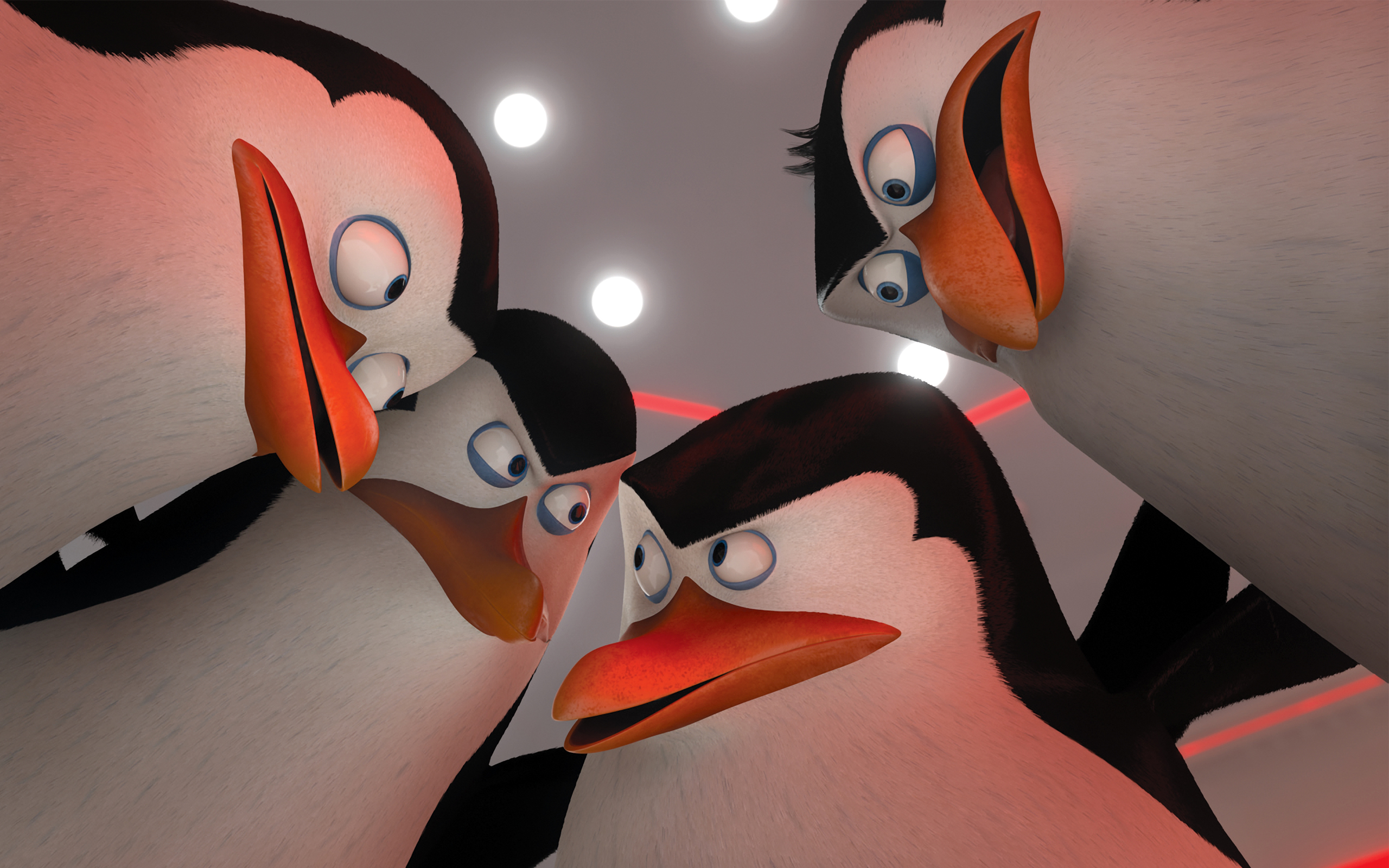 739454 Hintergrundbild herunterladen filme, die pinguine aus madagascar - Bildschirmschoner und Bilder kostenlos
