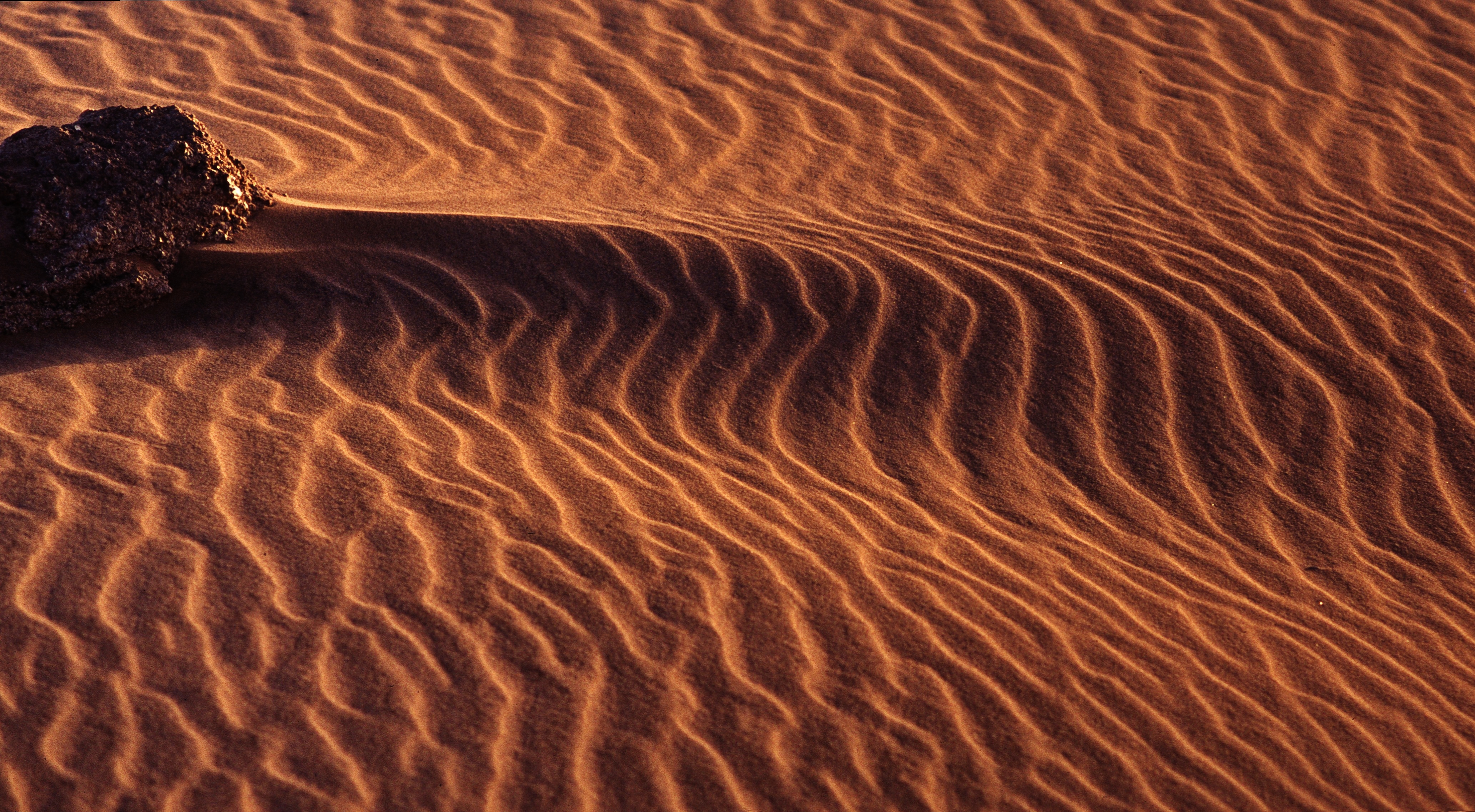 Descarga gratis la imagen Arena, Desierto, Sáhara, África, Argelia, Tierra/naturaleza en el escritorio de tu PC