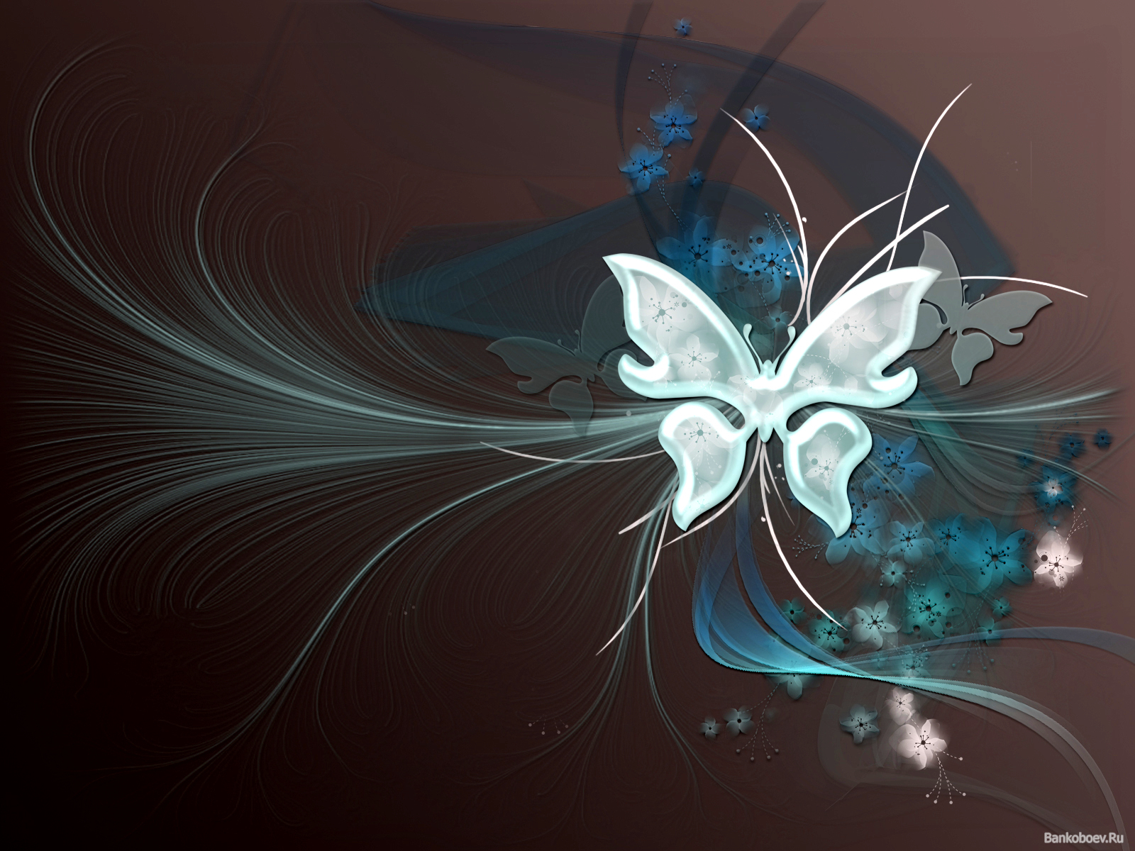 Cool Wallpapers butterflies, pictures