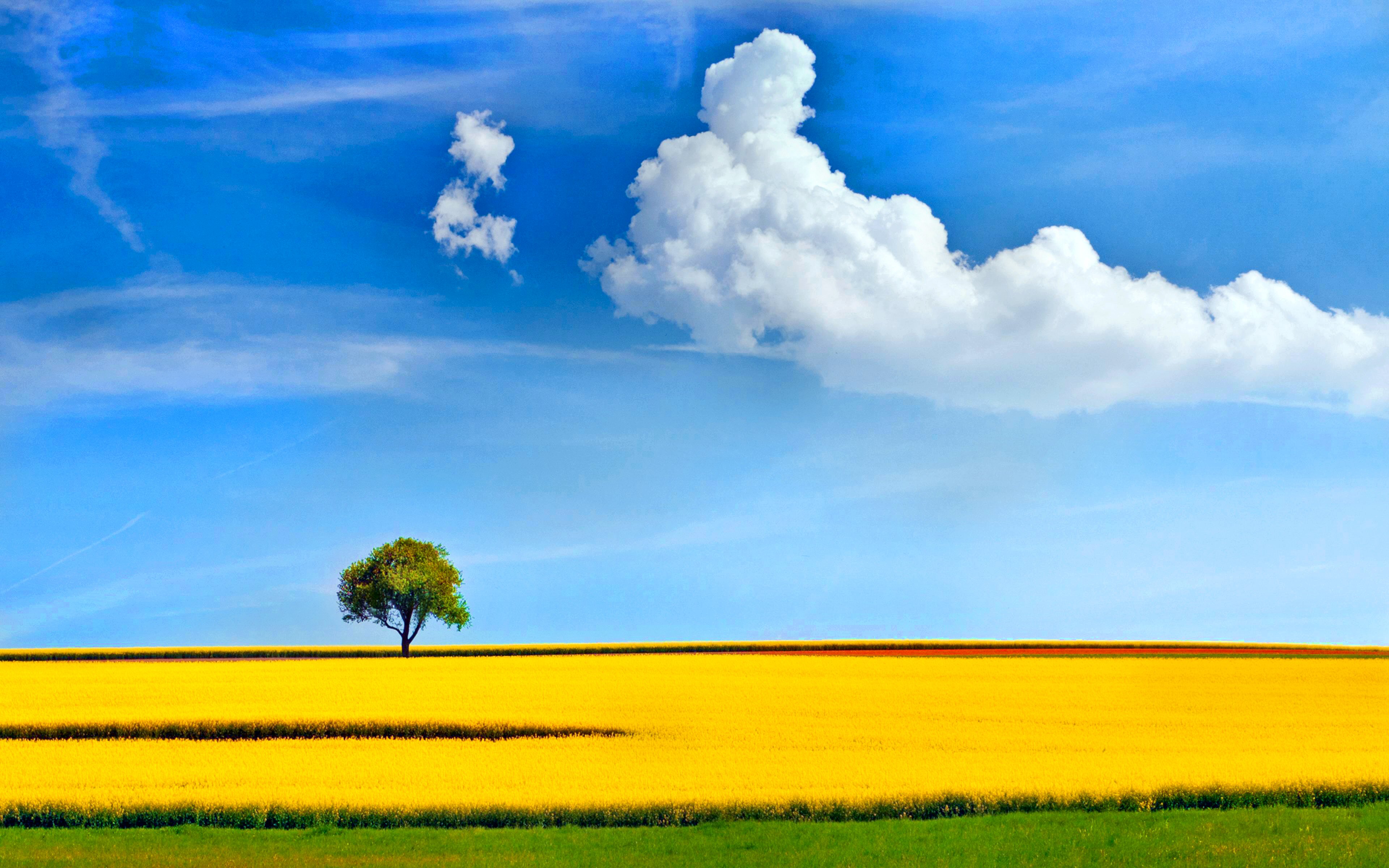 1495322 descargar imagen primavera, tierra/naturaleza, nube, horizonte, prado, escénico, soleado, árbol: fondos de pantalla y protectores de pantalla gratis