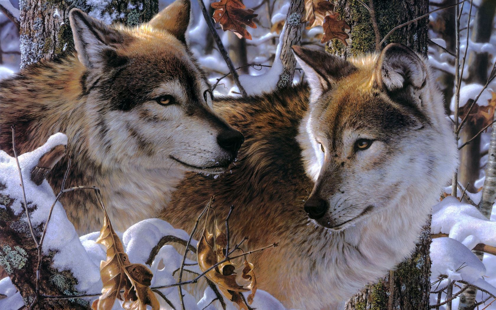 animals, wolfs, trees, snow, predators, couple, pair, fidelity, attachment, affection