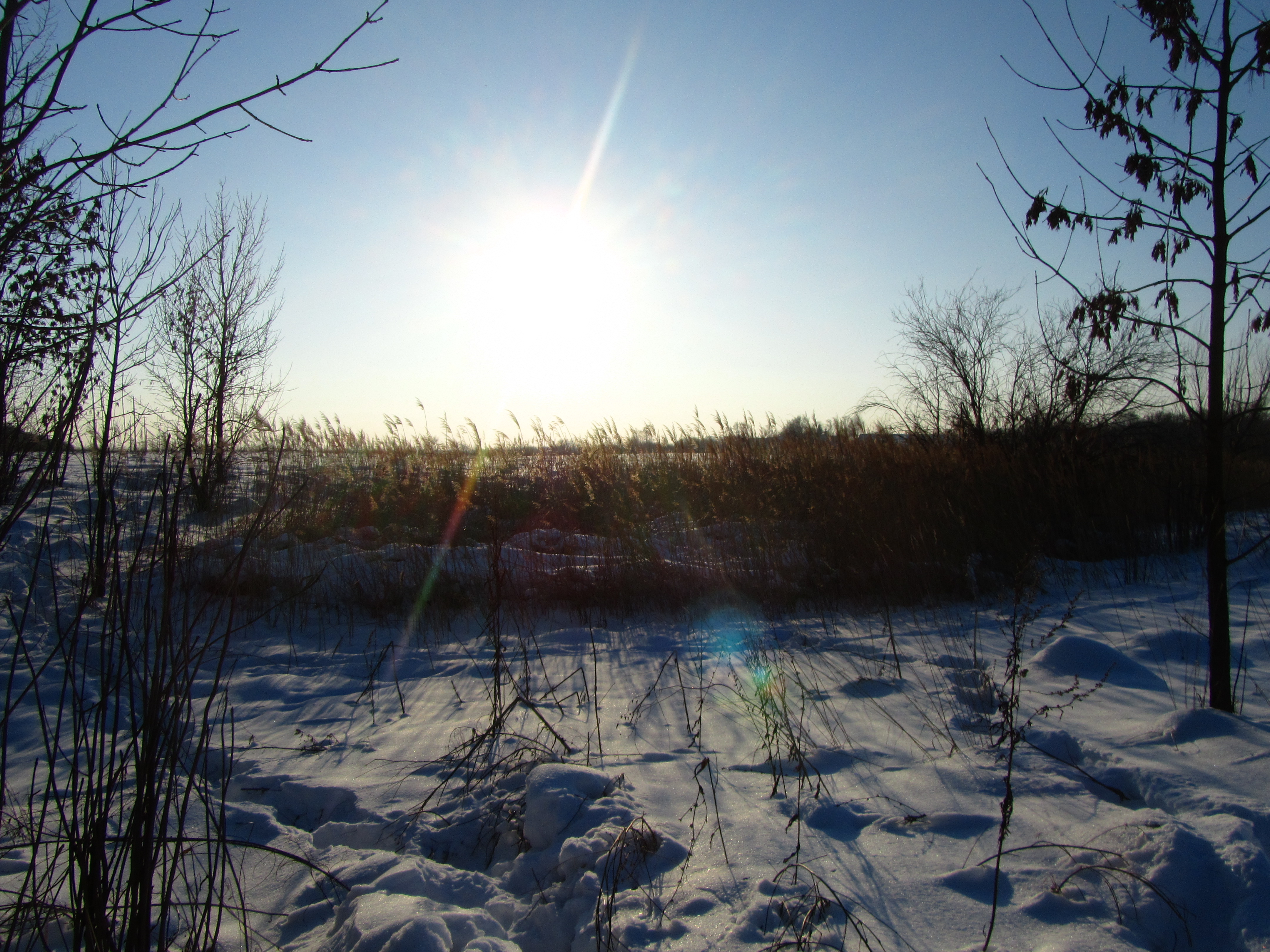 Handy-Wallpaper Winter, Erde/natur kostenlos herunterladen.