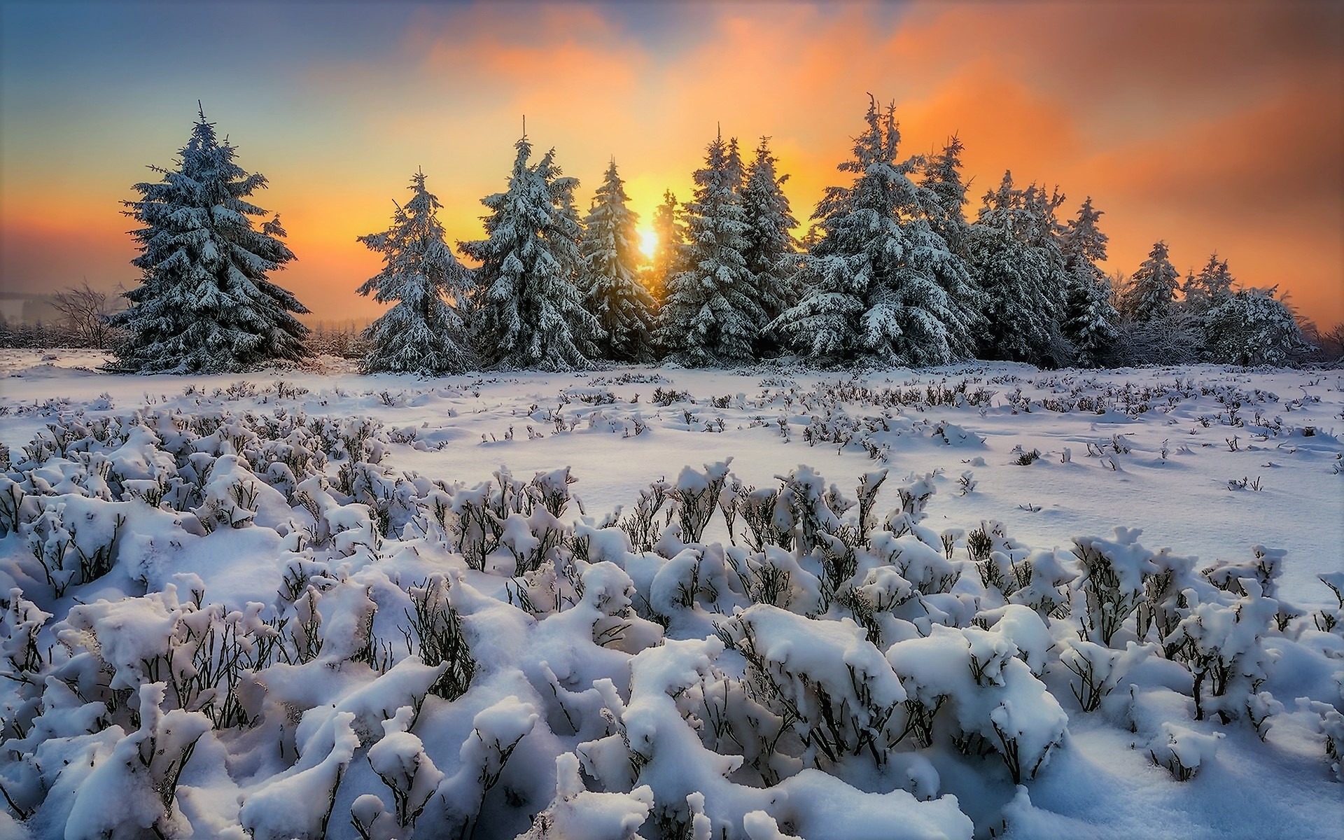 Free download wallpaper Winter, Sunset, Snow, Forest, Earth on your PC desktop