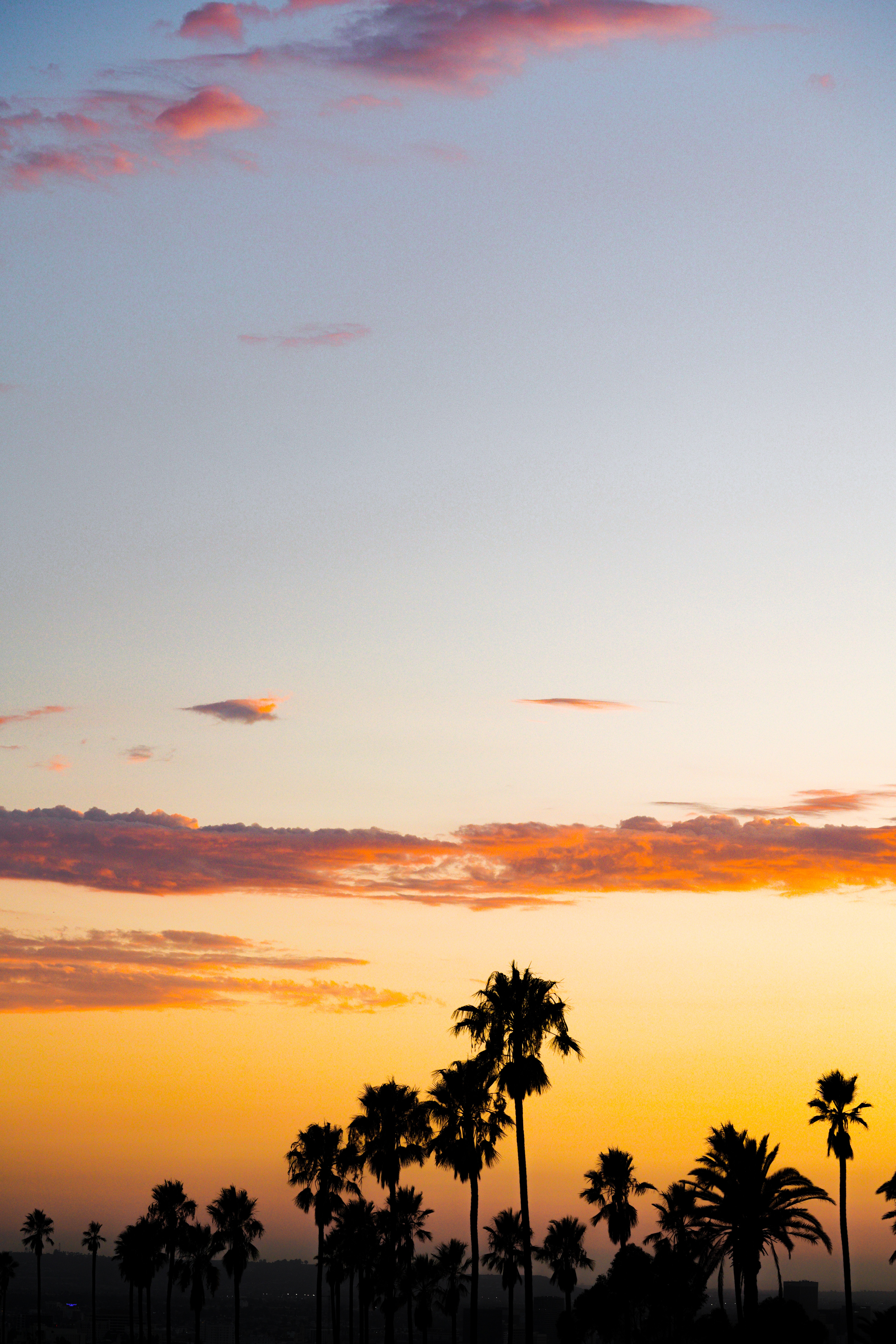palms, clouds, nature, sunset, twilight, dark, dusk cellphone