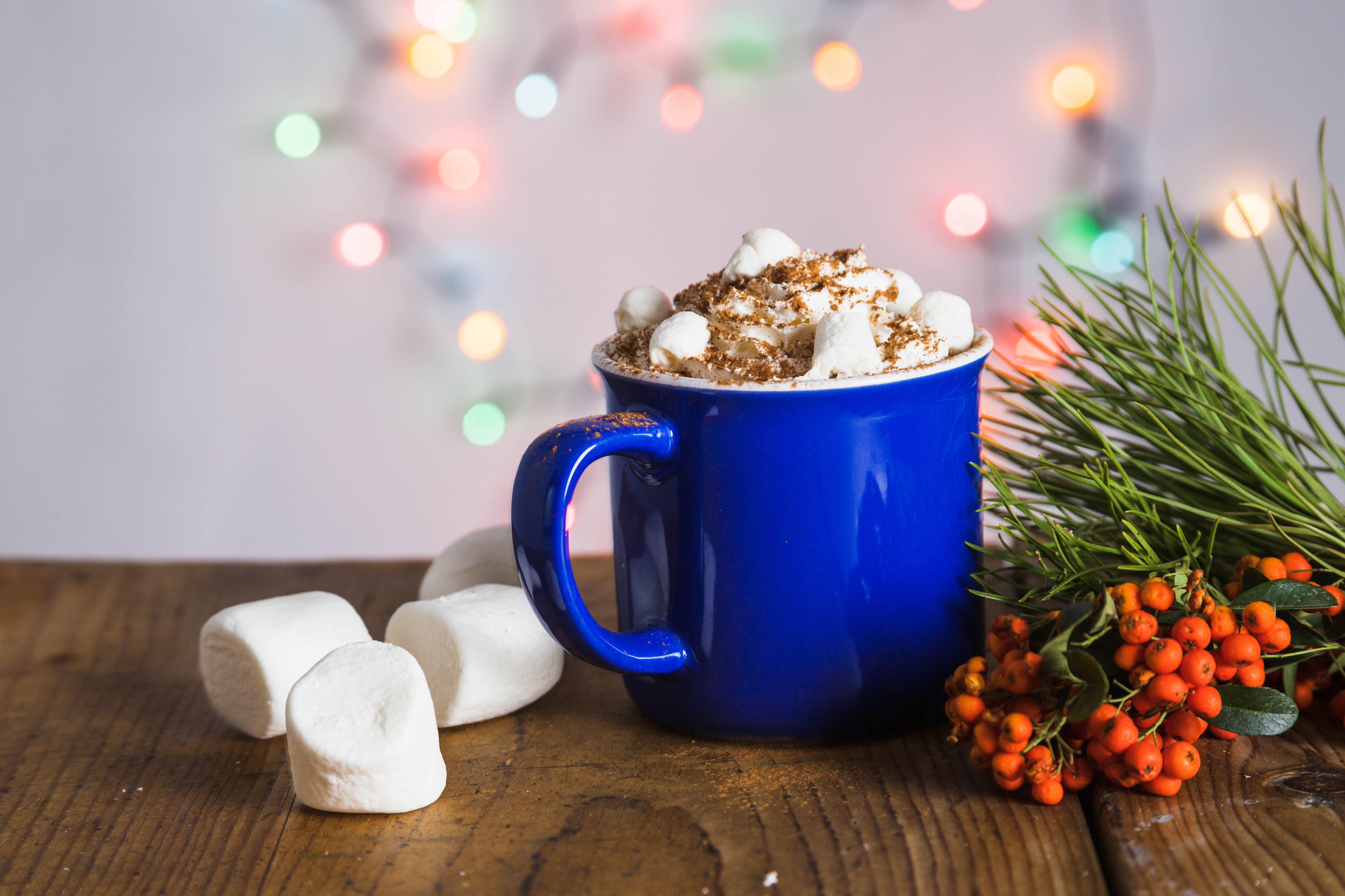 Download mobile wallpaper Food, Cup, Drink, Marshmallow, Hot Chocolate for free.