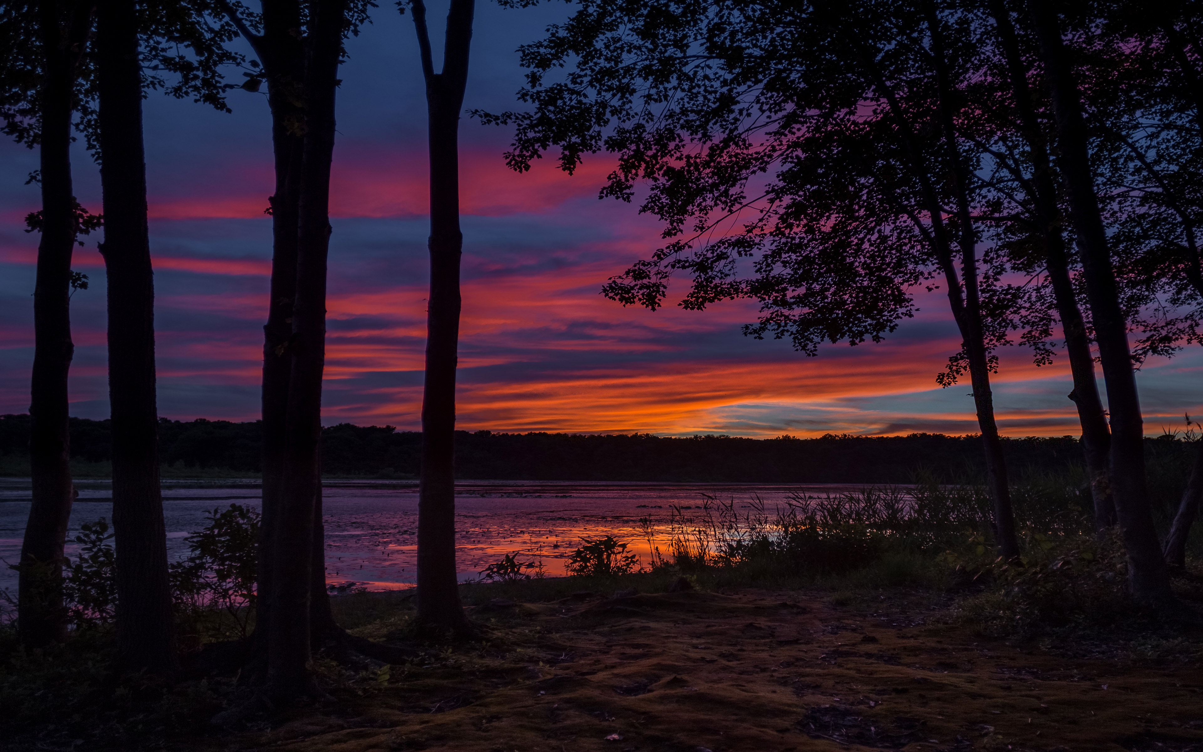 Download mobile wallpaper Sunset, Sky, Lake, Silhouette, Tree, Earth, Helmetta Pond for free.