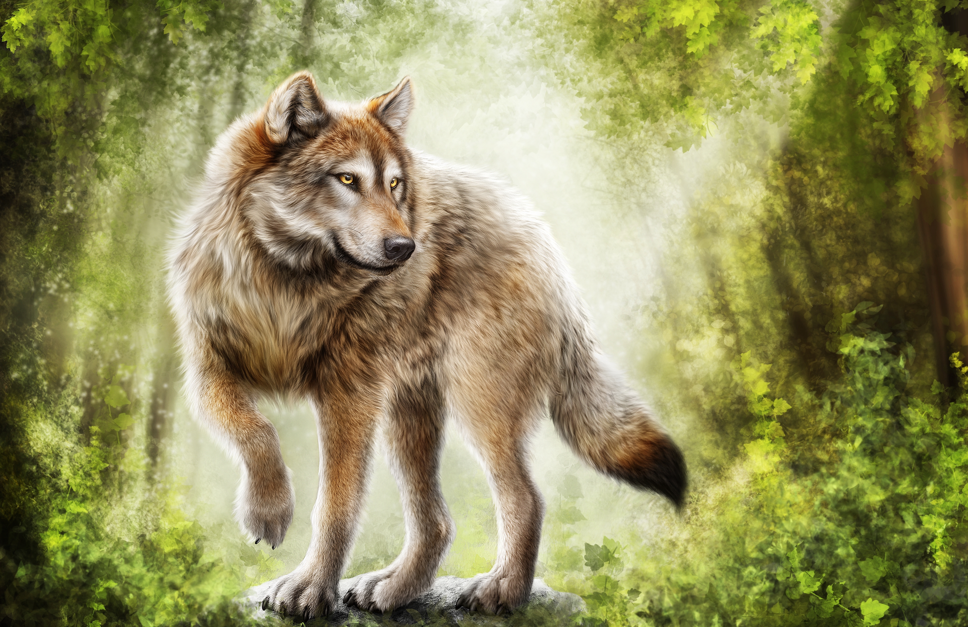 PCデスクトップに動物, オオカミ, 森, 狼, ペインティング画像を無料でダウンロード