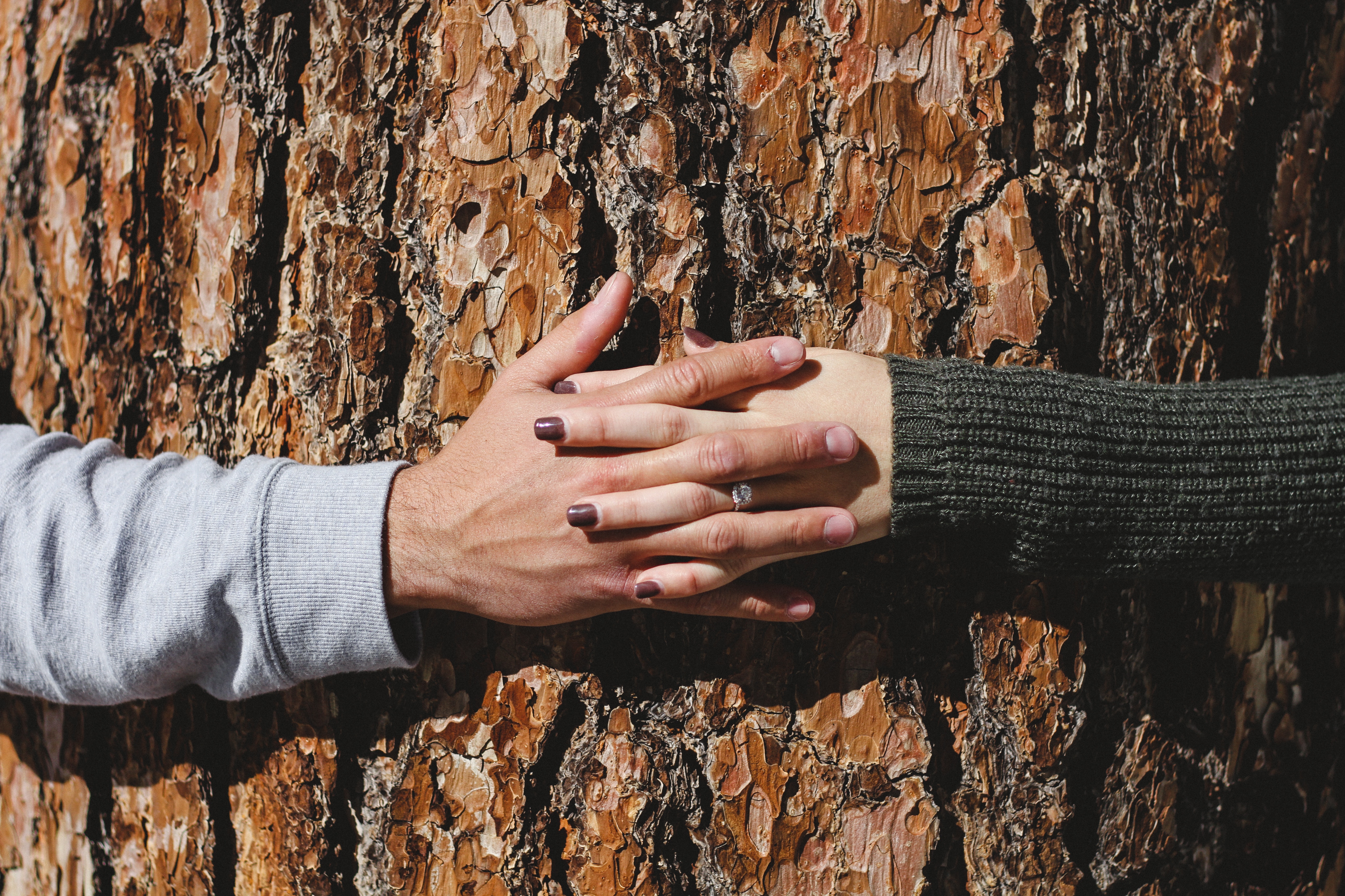 Download mobile wallpaper Tree, Wood, Hands, Pair, Couple, Love for free.
